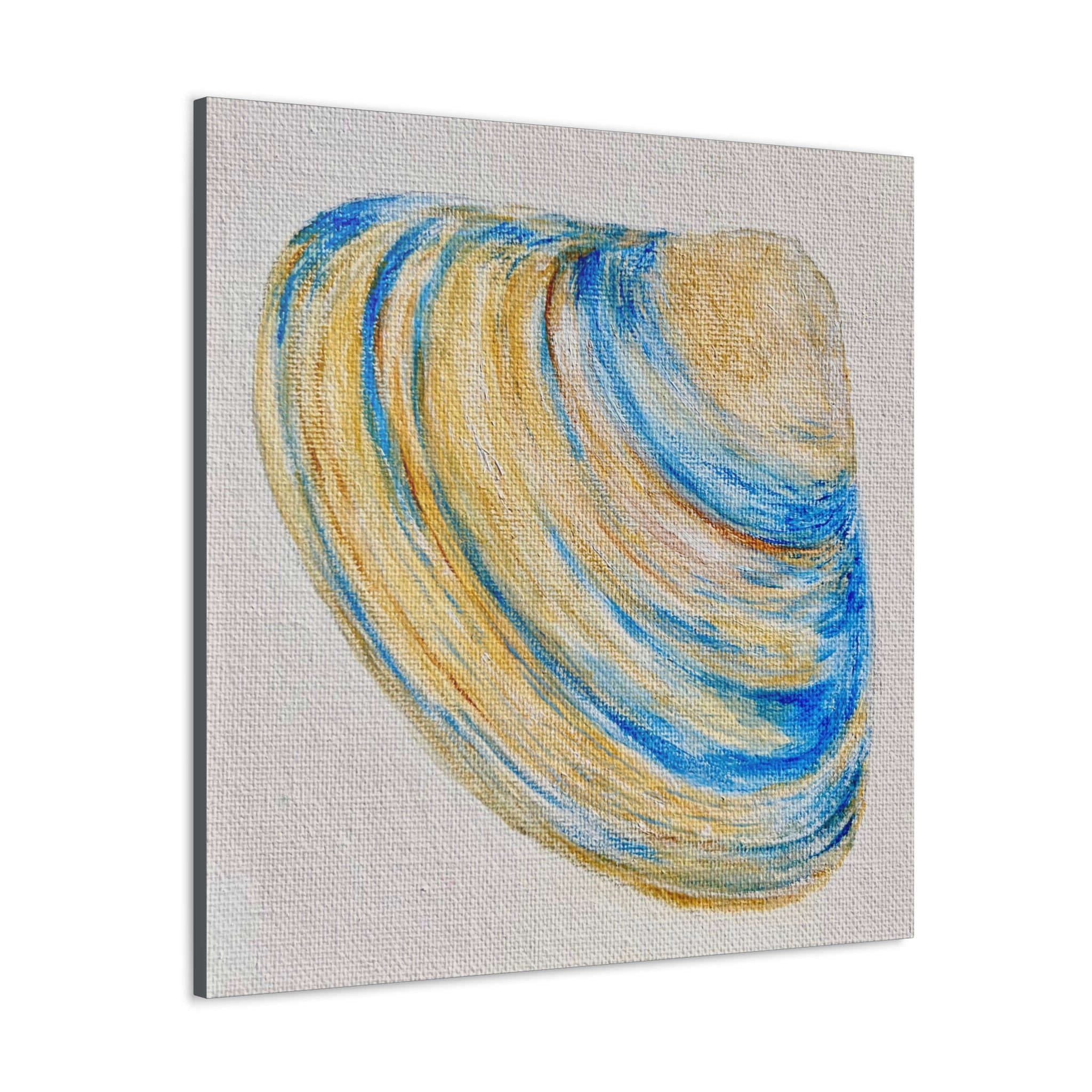 Clam Shell Canvas Gallery Wraps