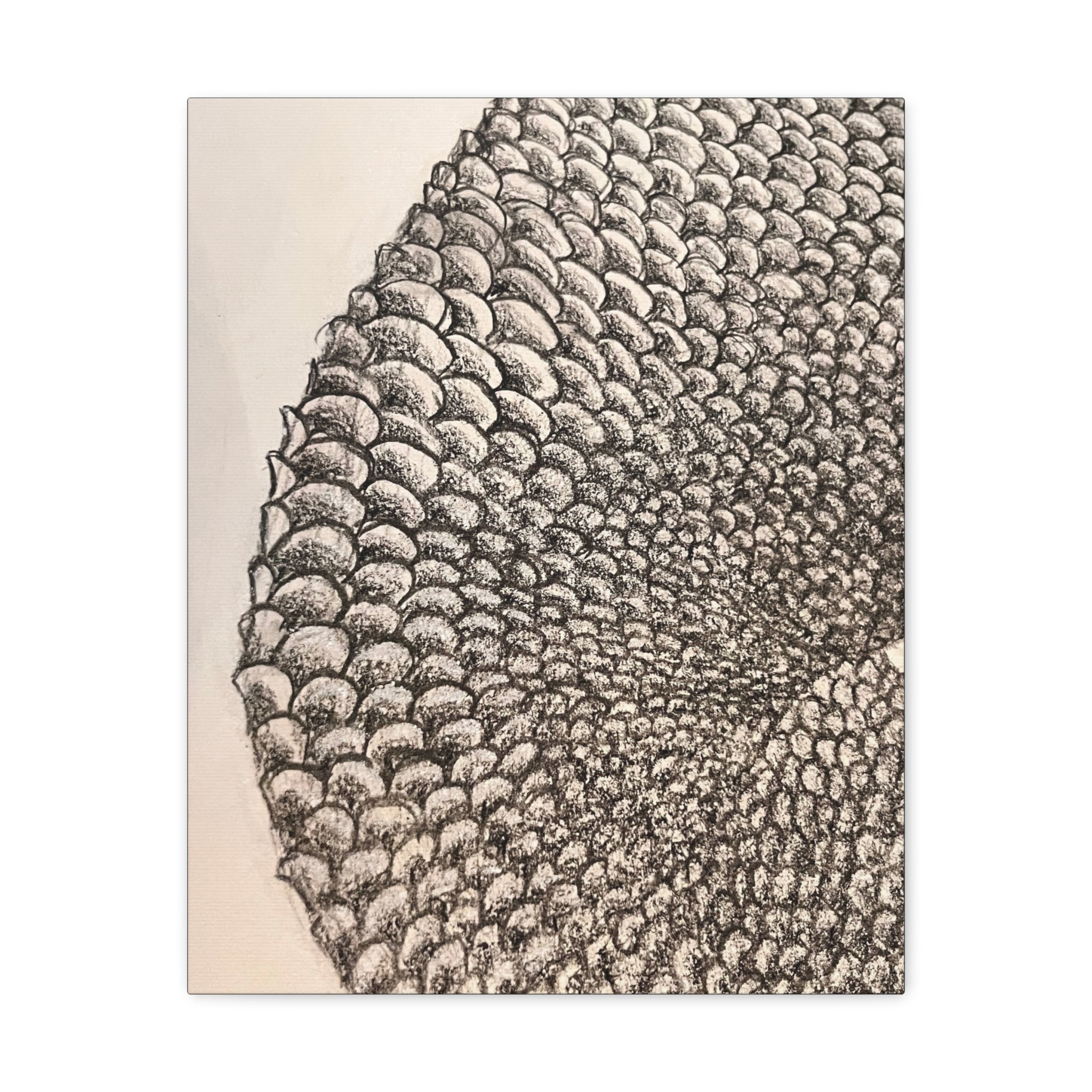 Mermaid Scales Canvas Gallery Wraps