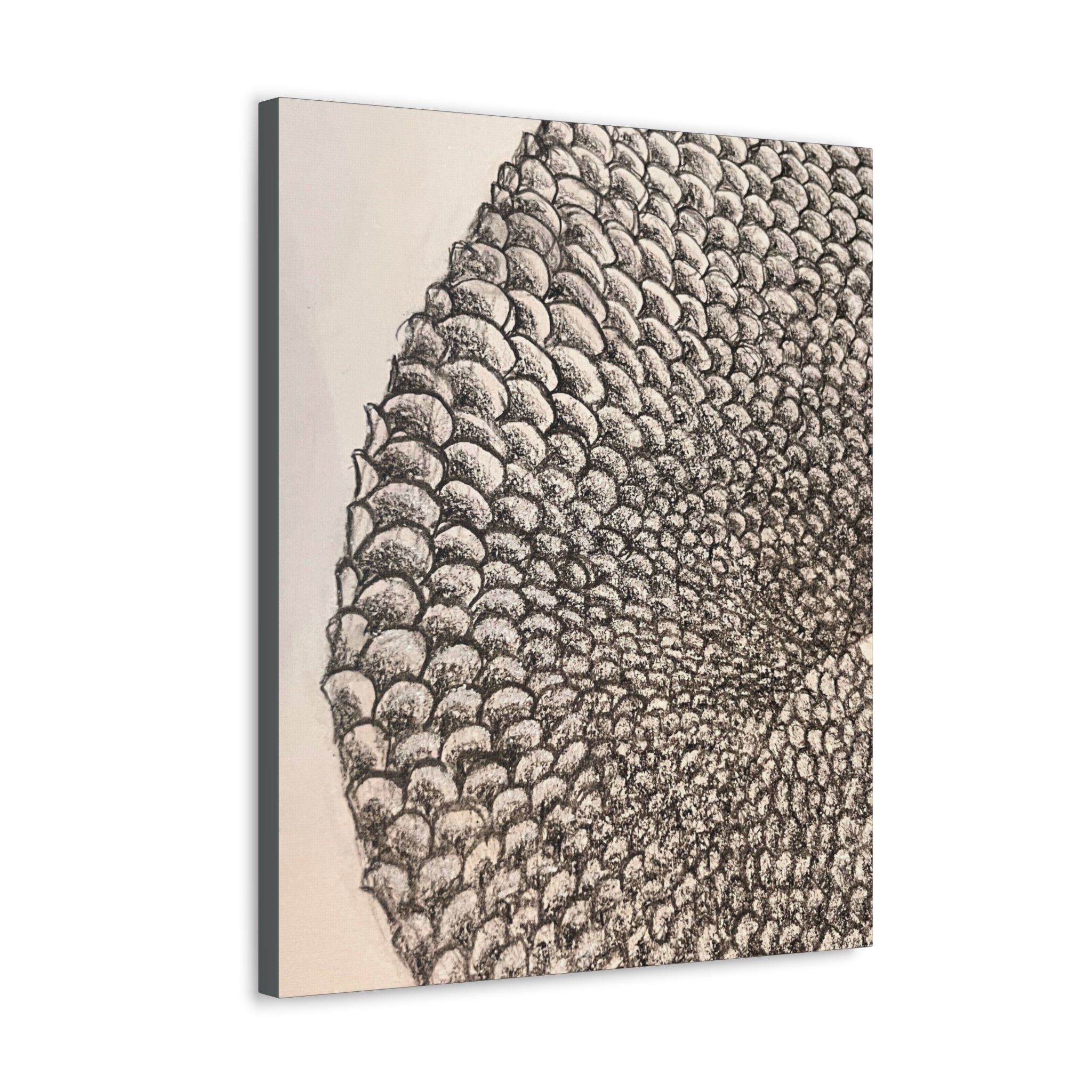 Mermaid Scales Canvas Gallery Wraps
