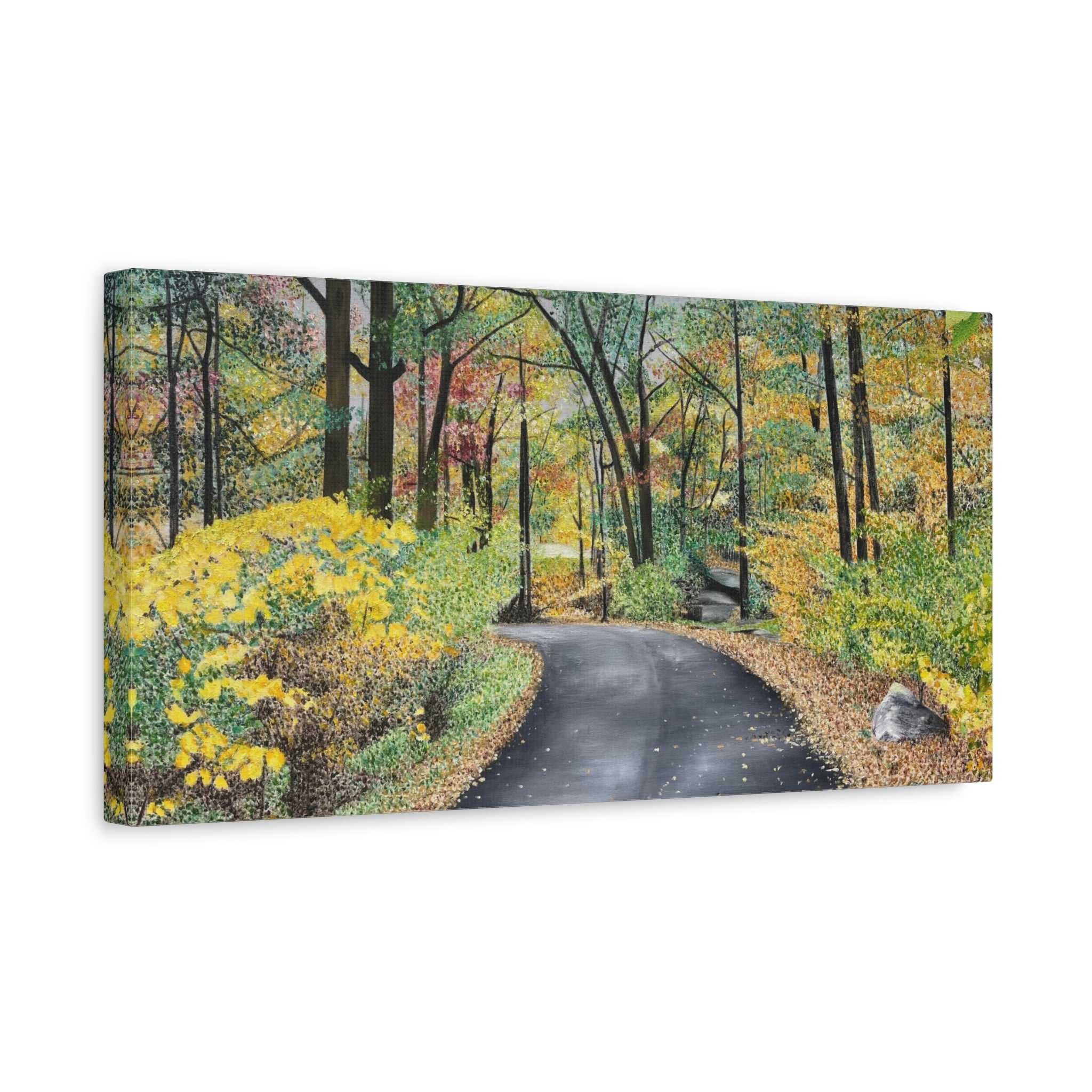 "Lake Scranton Fall Walk"