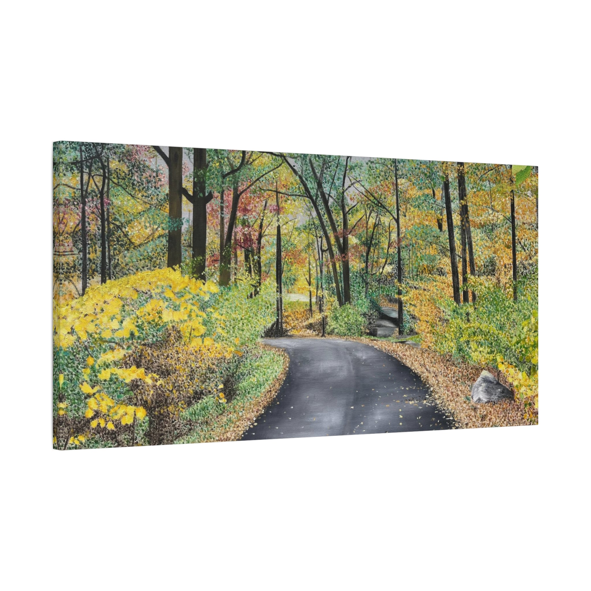 "Lake Scranton Fall Walk"