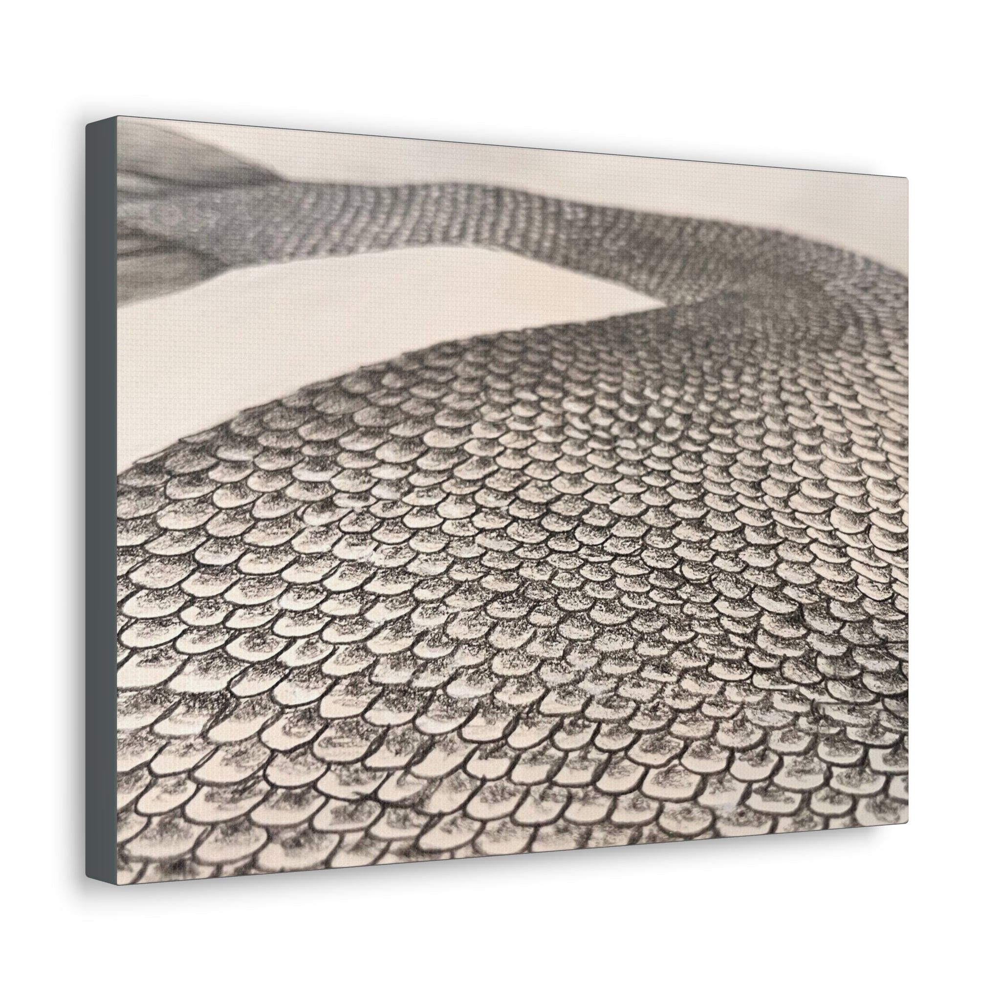 Mermaid Scales Edition #2 Canvas Gallery Wraps