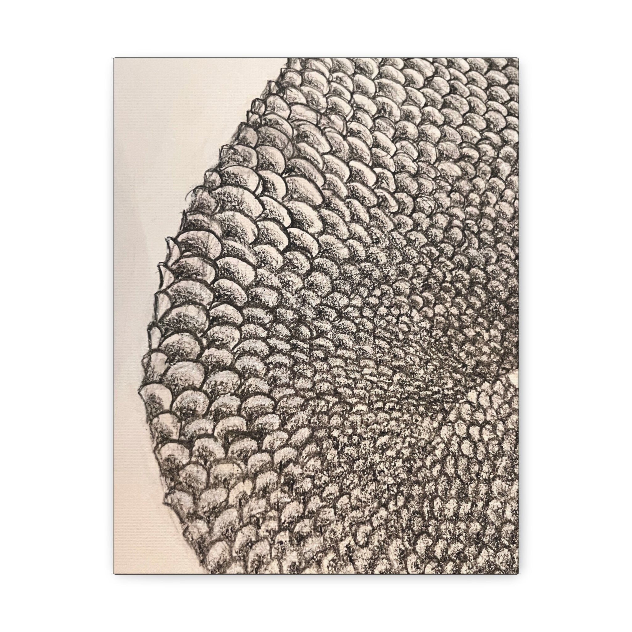 Mermaid Scales Canvas Gallery Wraps