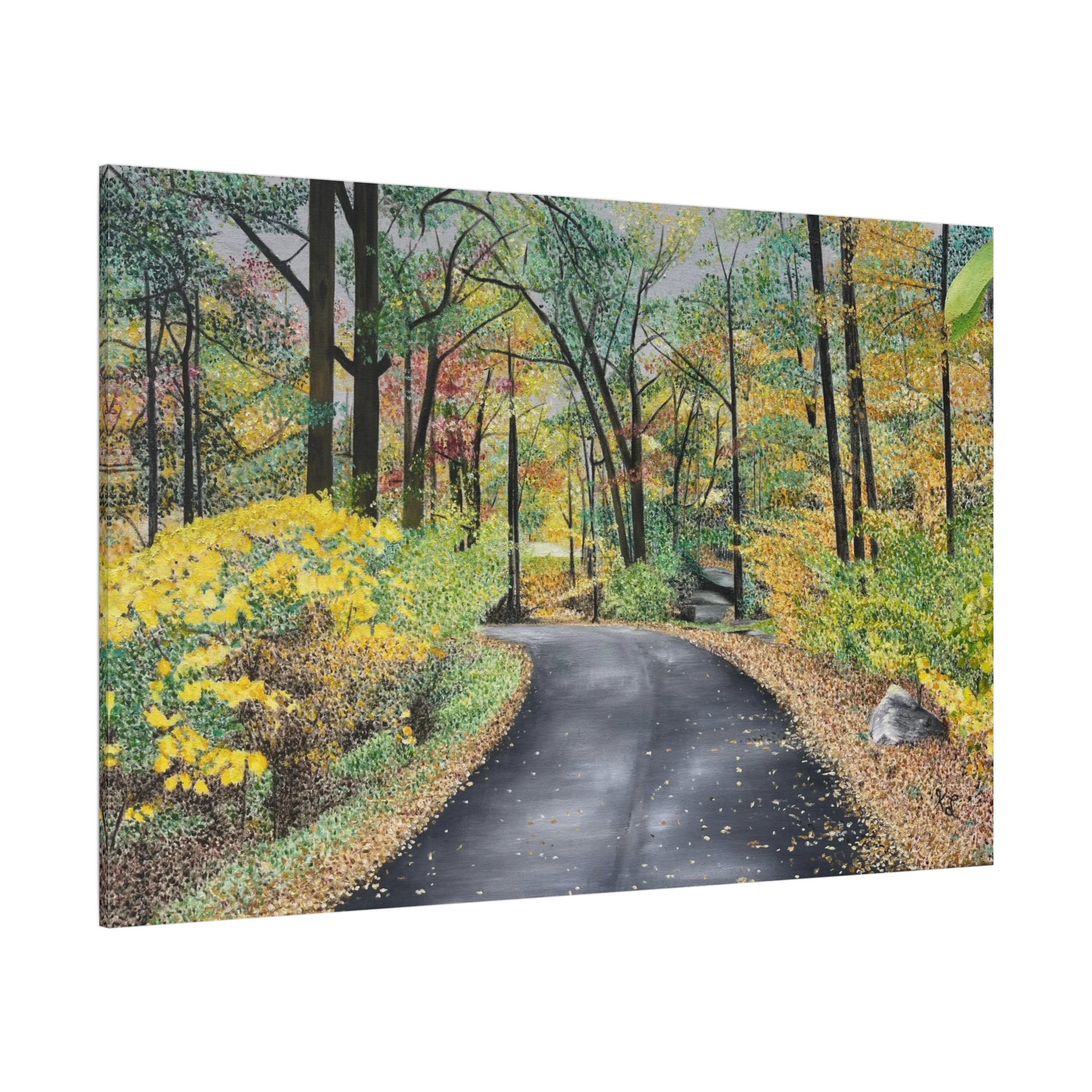 "Lake Scranton Fall Walk"