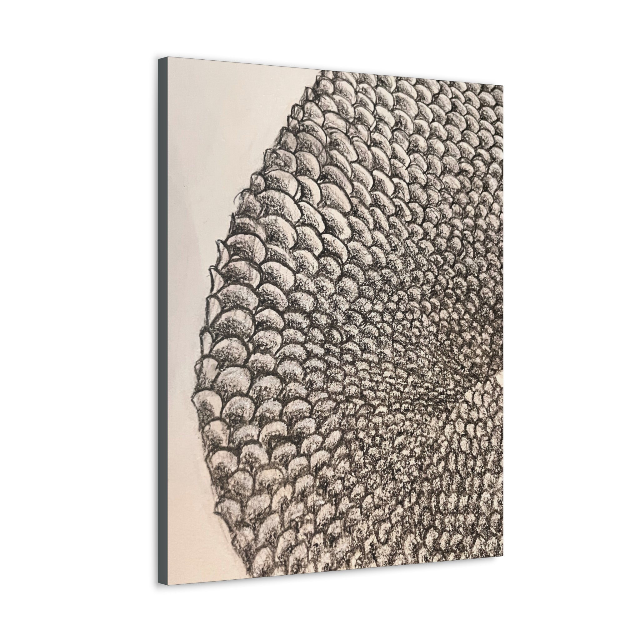 Mermaid Scales Canvas Gallery Wraps