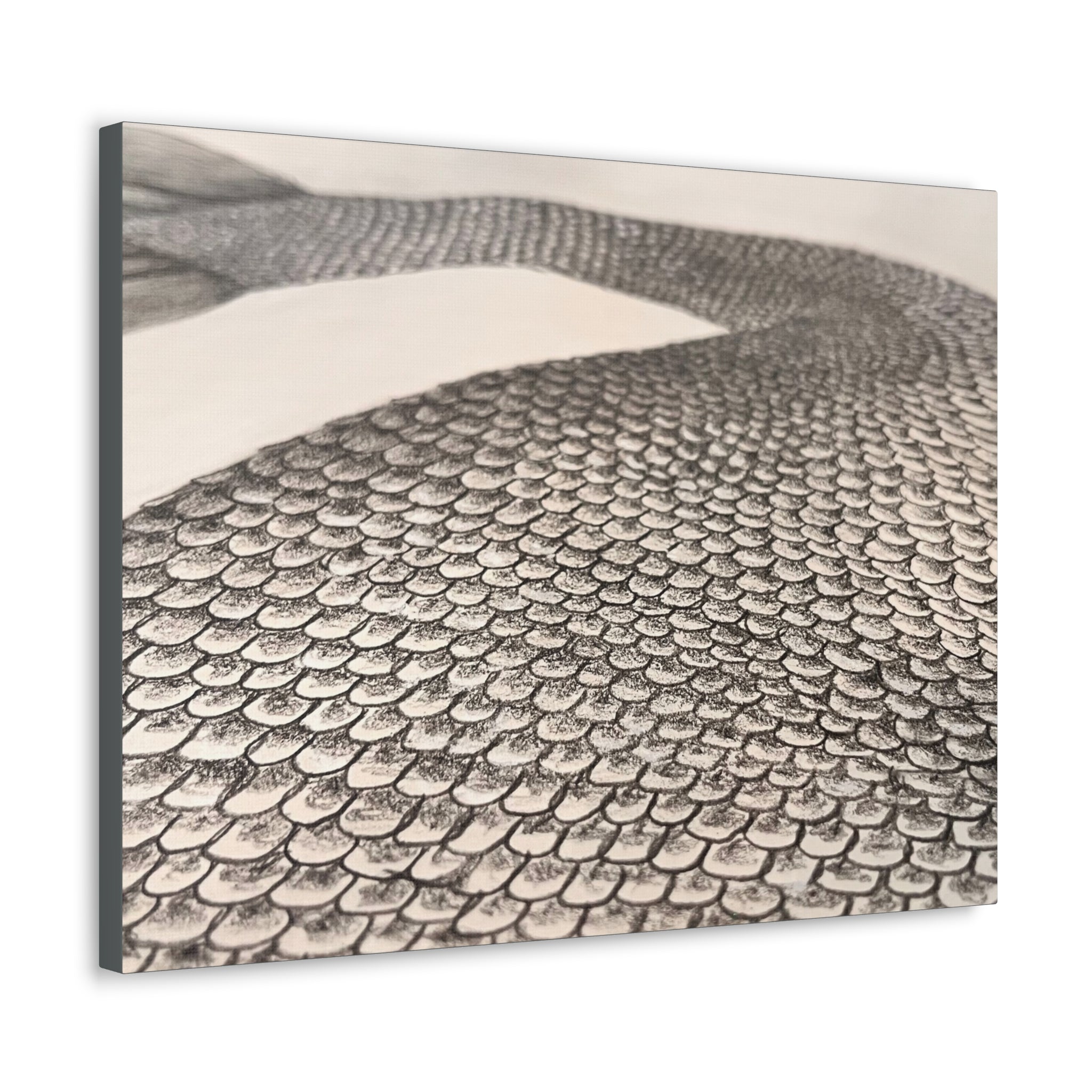 Mermaid Scales Edition #2 Canvas Gallery Wraps