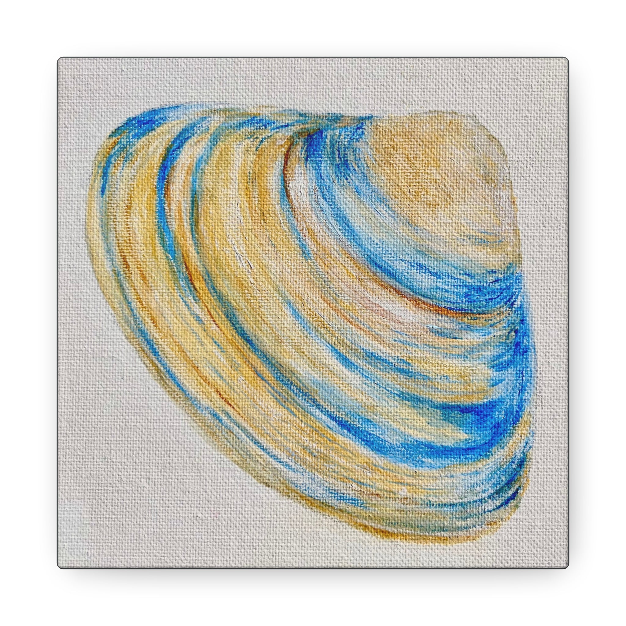 Clam Shell Canvas Gallery Wraps