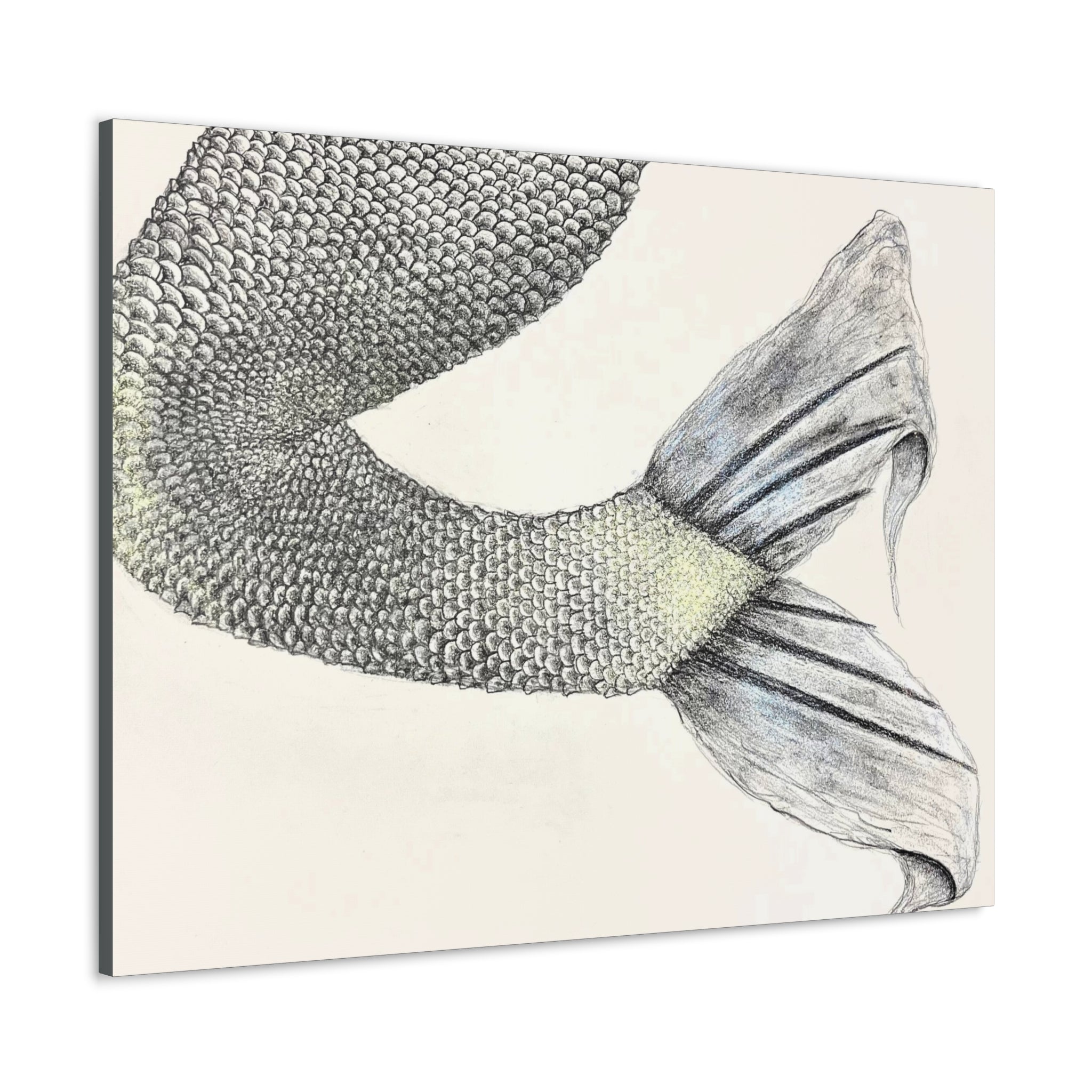 Mermaid #1 Third Edition Canvas Gallery Wraps