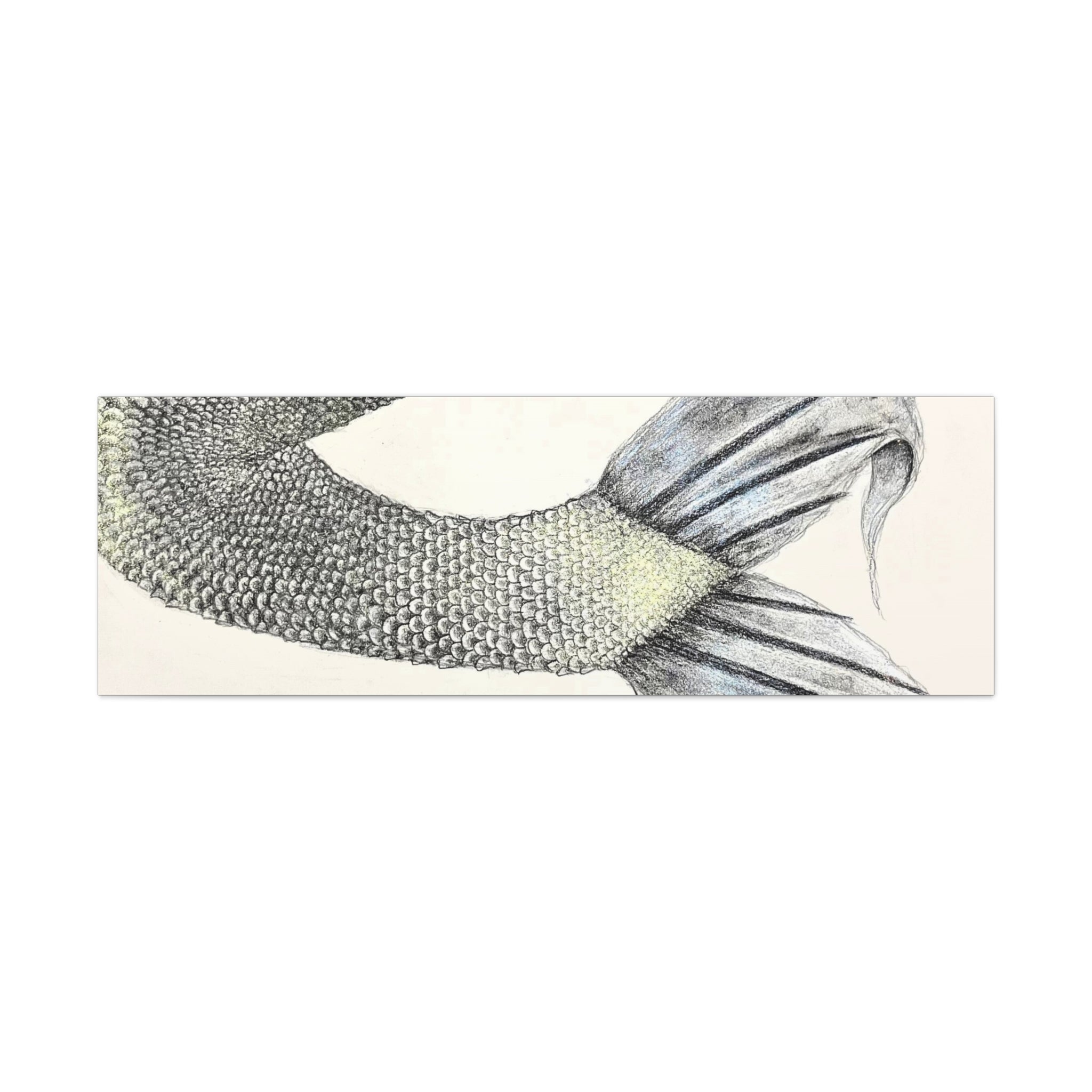 Mermaid #1 Third Edition Canvas Gallery Wraps