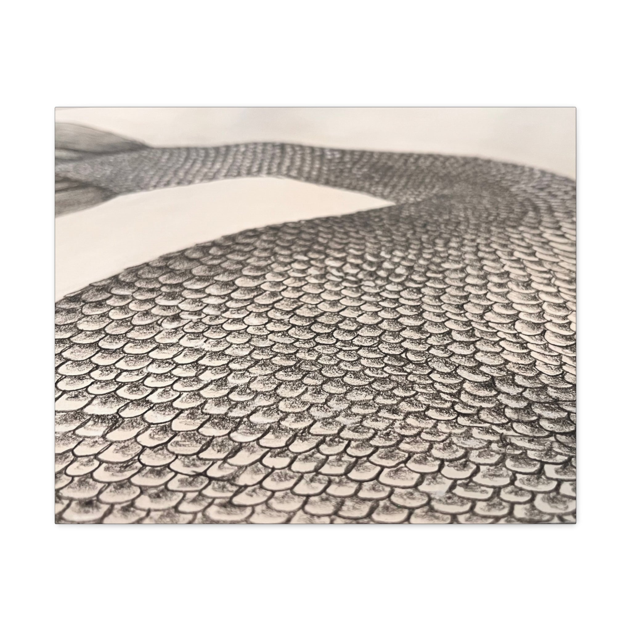 Mermaid Scales Edition #2 Canvas Gallery Wraps