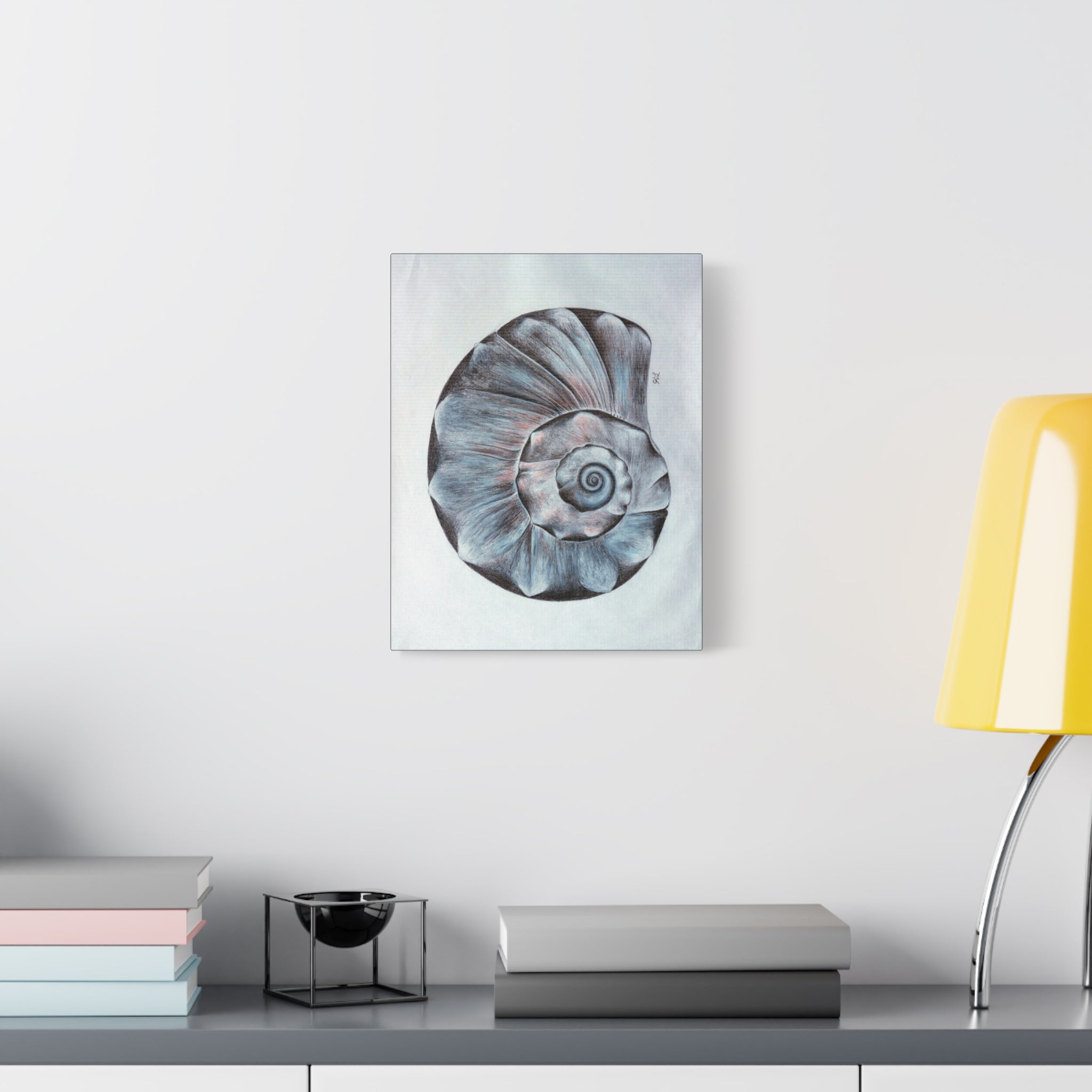 Welk Shell Wall Art