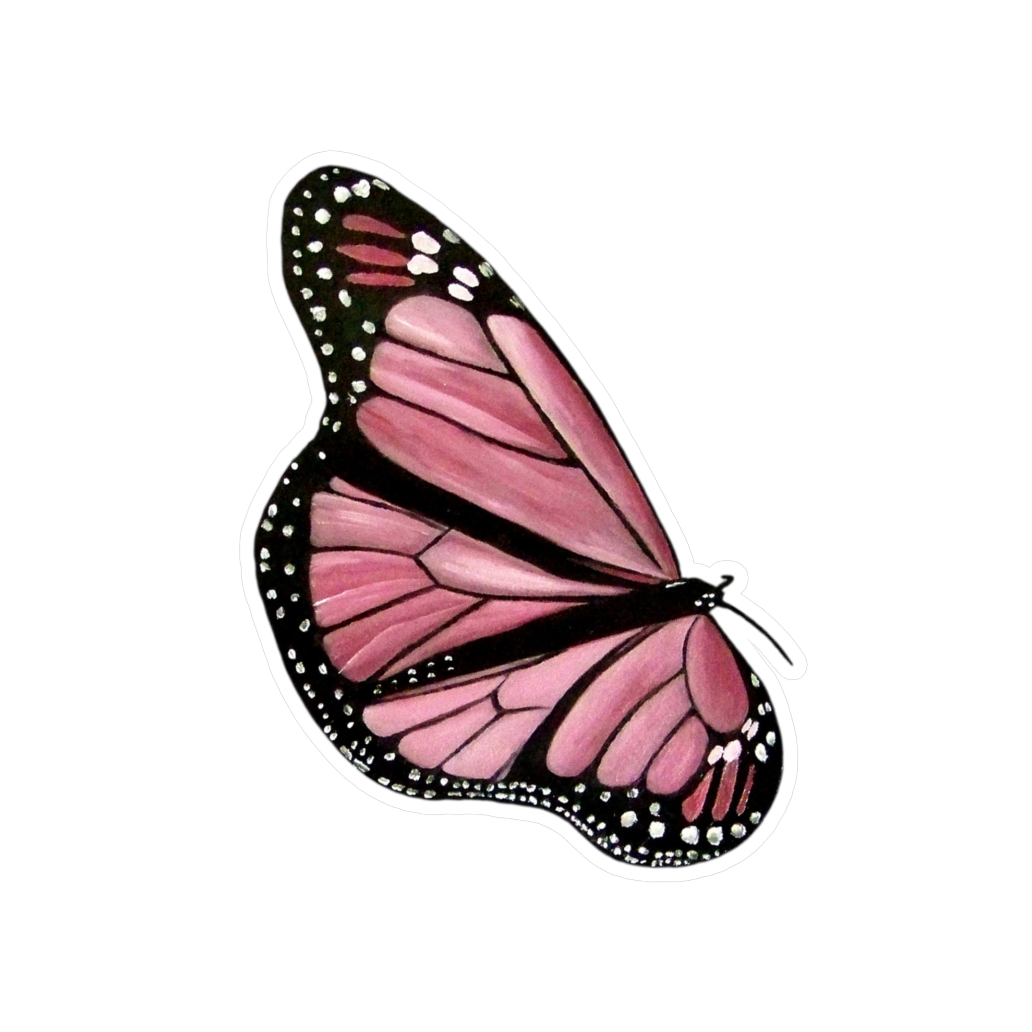 Vinyl Decals (The First Butterfly) UV/ Water resist