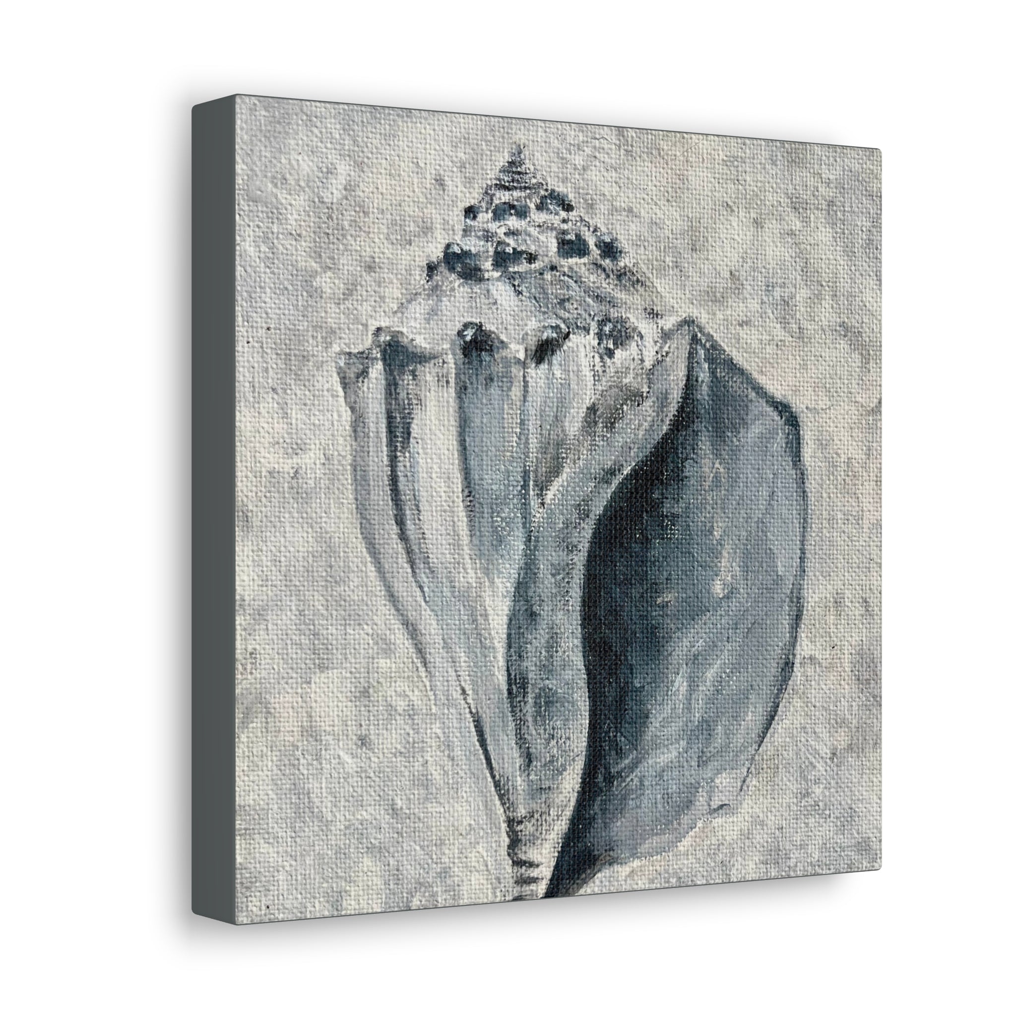 Welk Shell #2 Canvas Gallery Wraps
