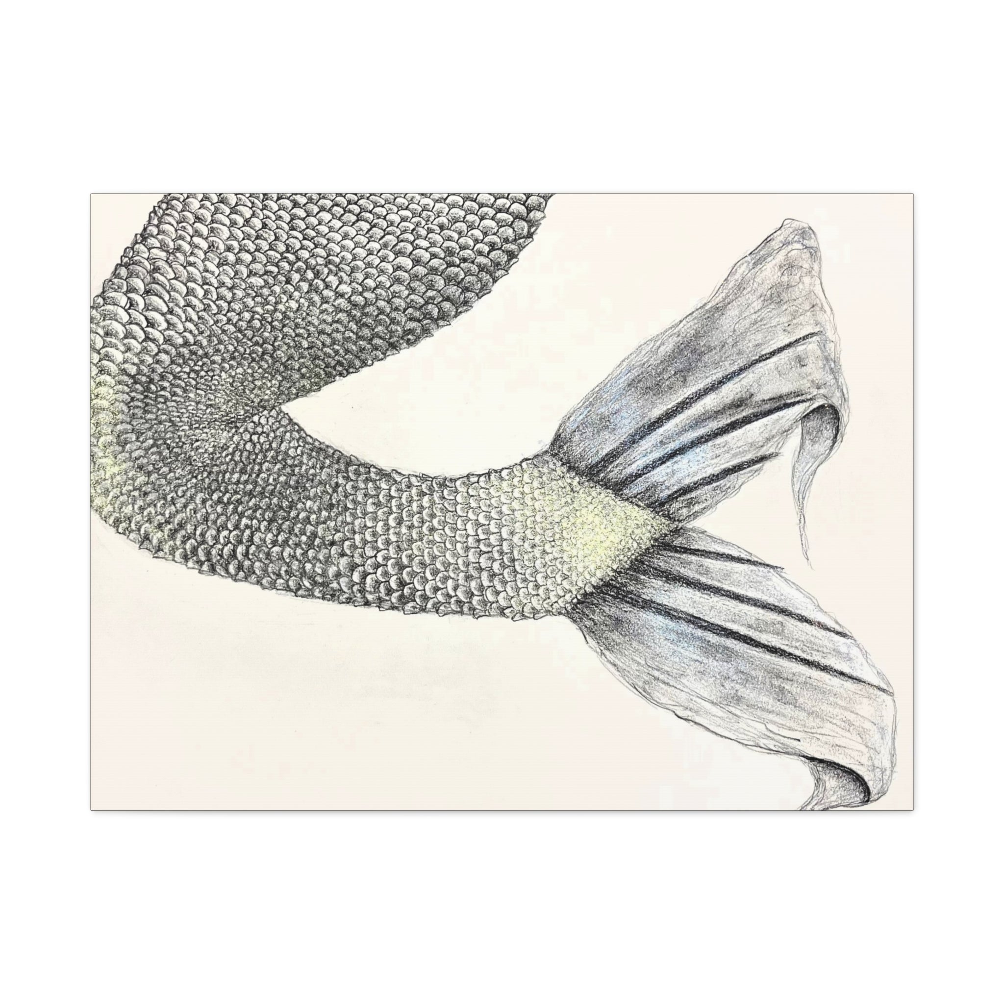 Mermaid #1 Third Edition Canvas Gallery Wraps