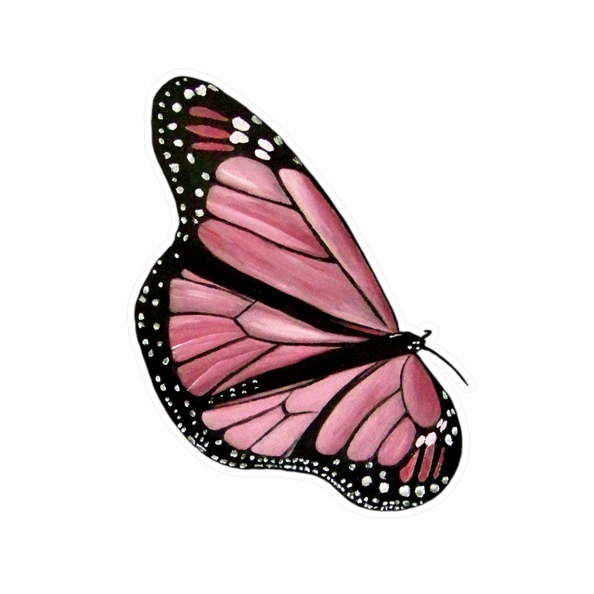Vinyl Decals (The First Butterfly) UV/ Water resist