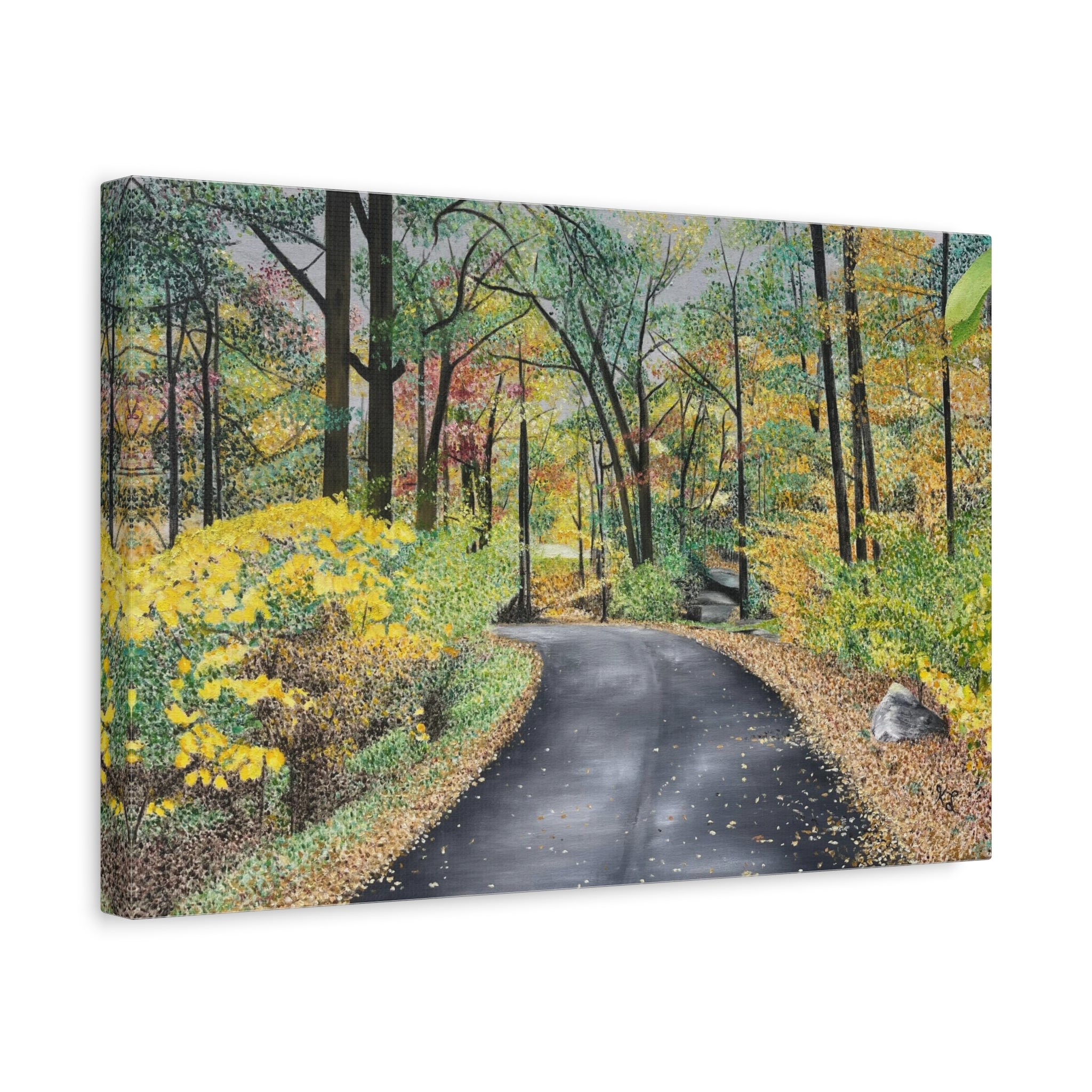 "Lake Scranton Fall Walk"