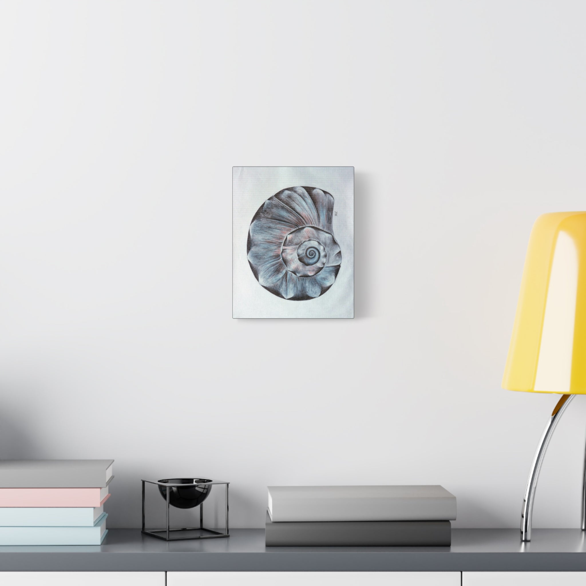 Welk Shell Wall Art