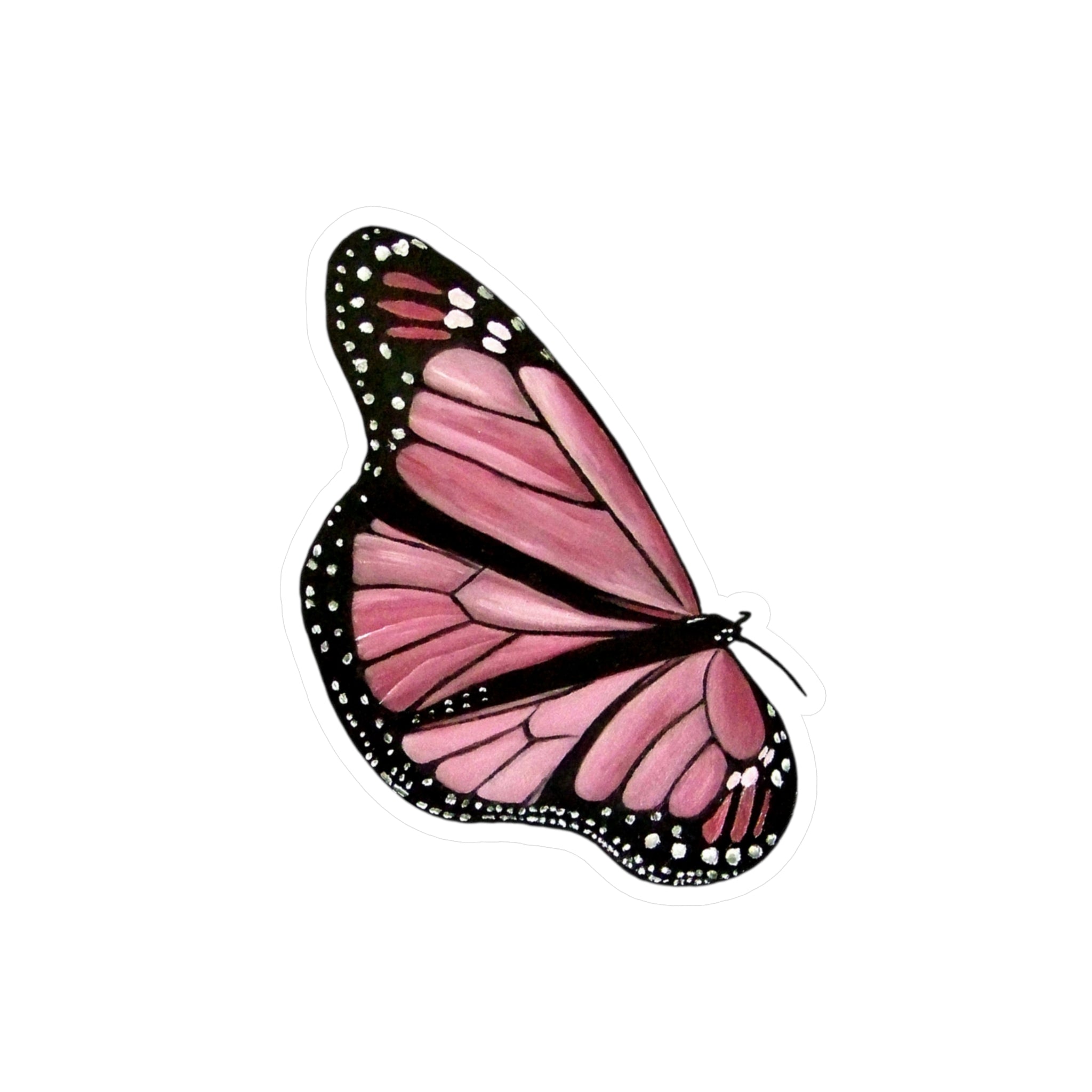 Vinyl Decals (The First Butterfly) UV/ Water resist