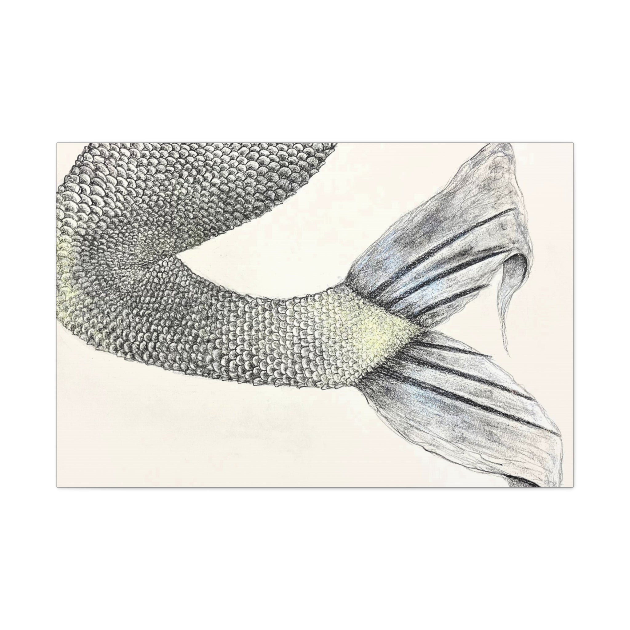 Mermaid #1 Third Edition Canvas Gallery Wraps