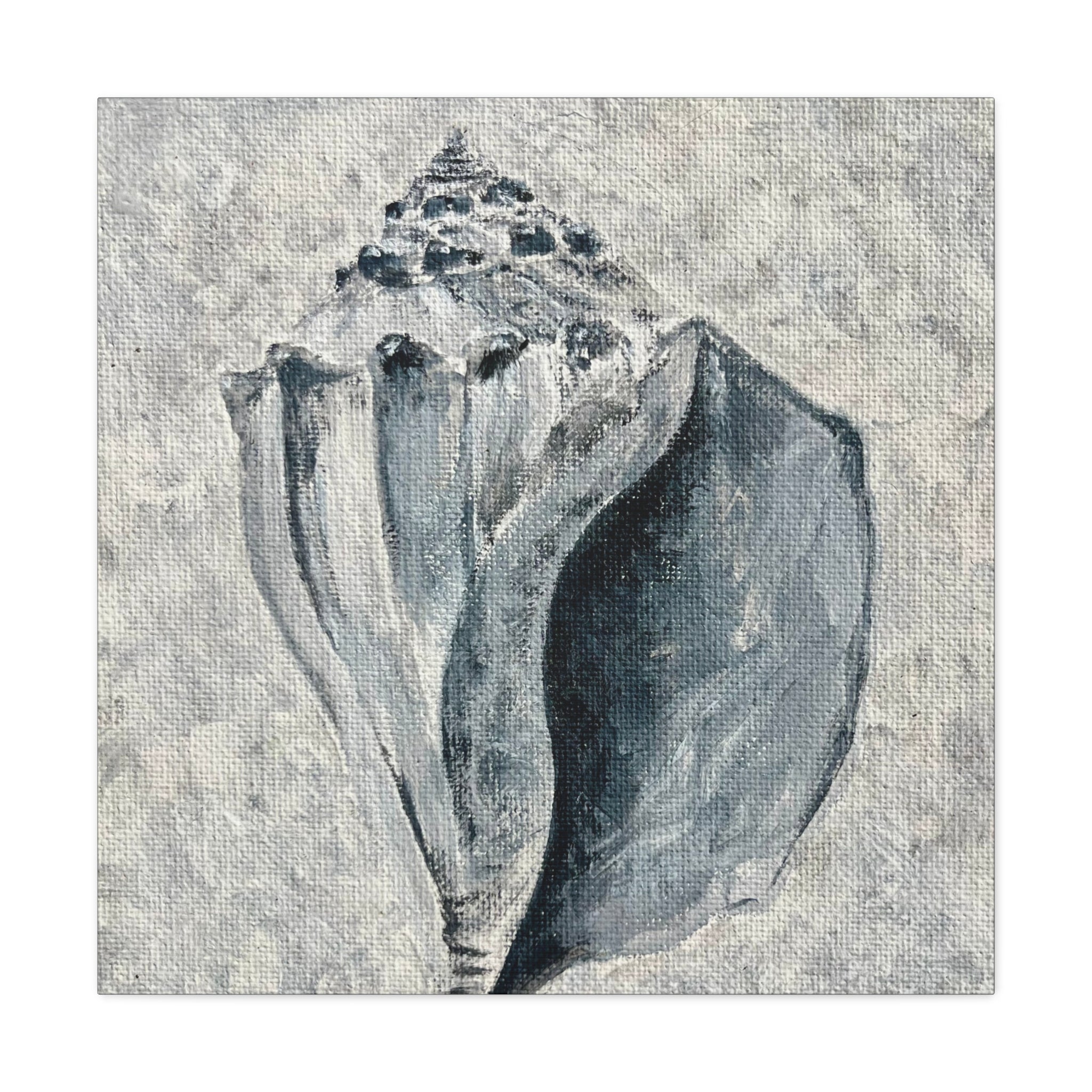 Welk Shell #2 Canvas Gallery Wraps