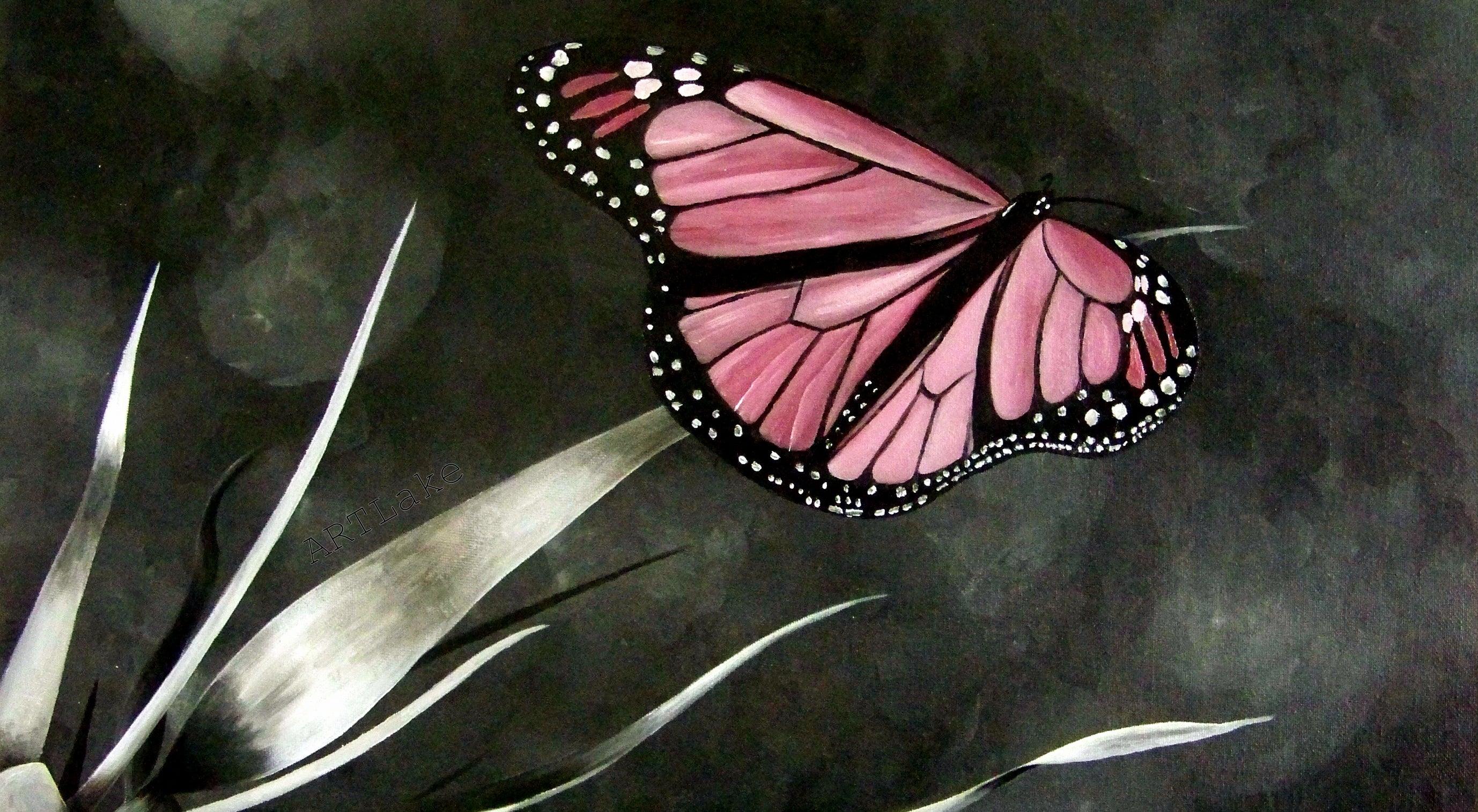 Pink butterfly 1