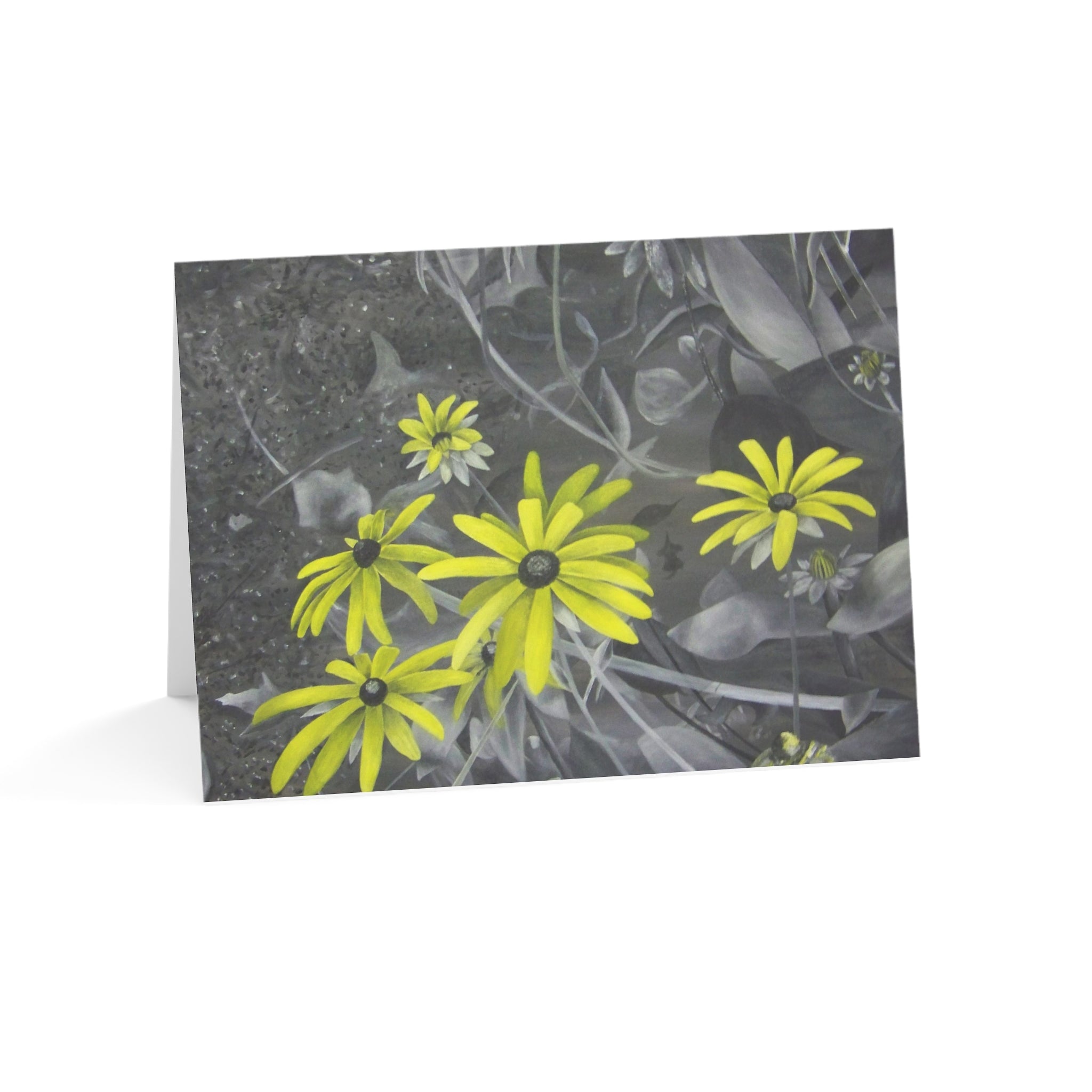 Le' Daisy Greeting Cards (1, 10, 30, and 50pcs)