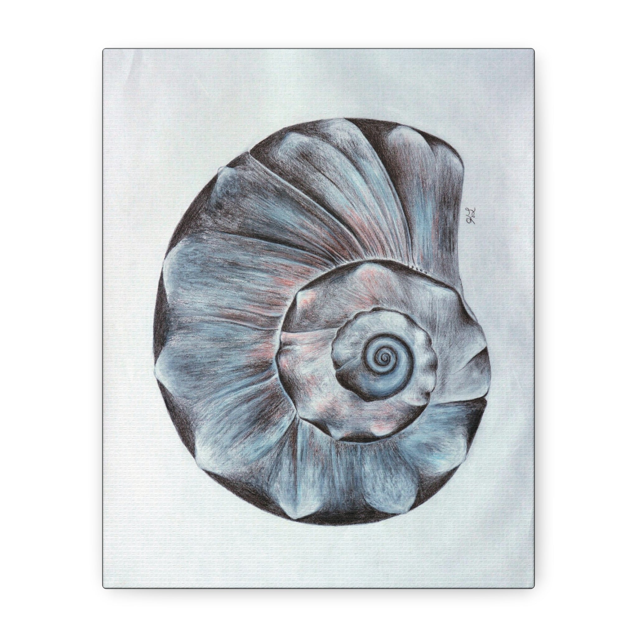 Welk Shell Wall Art
