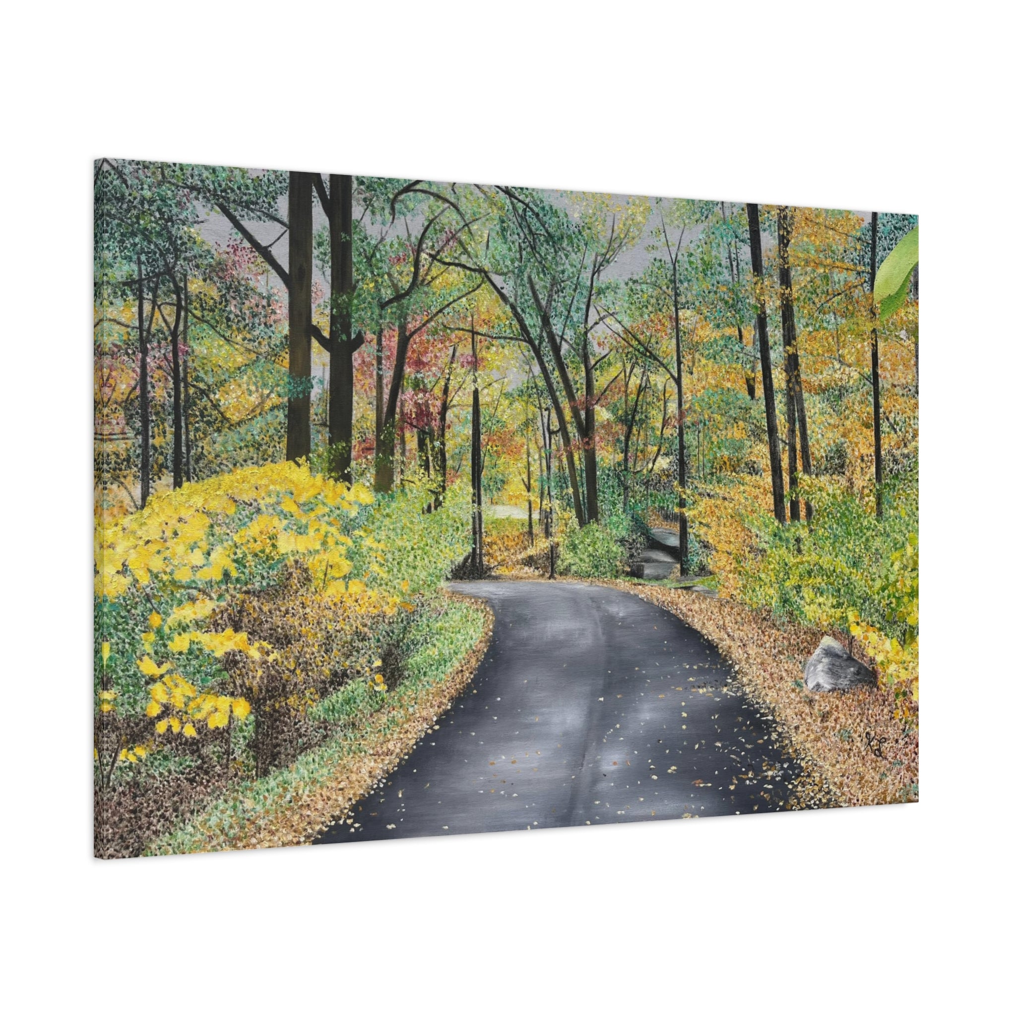 "Lake Scranton Fall Walk"