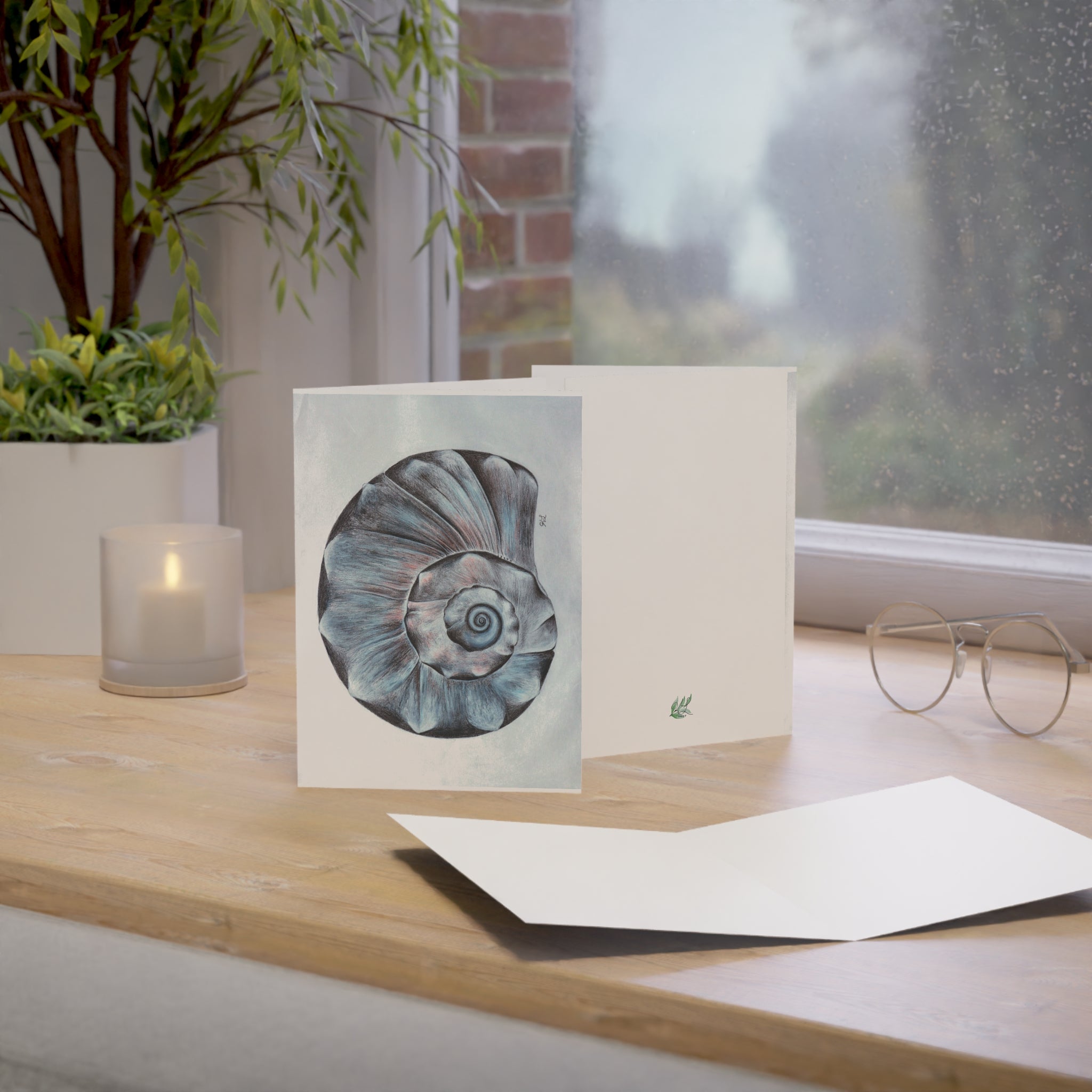 Welk Shell Greeting Cards (1, 10, 30, and 50pcs)