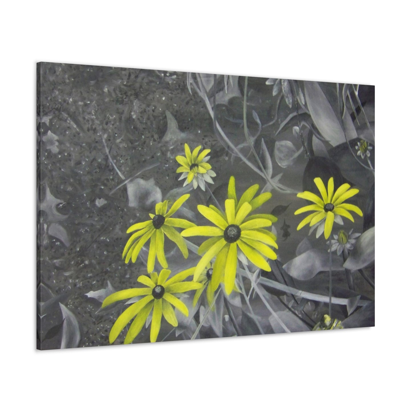 Le Daisy Canvas Gallery Wraps