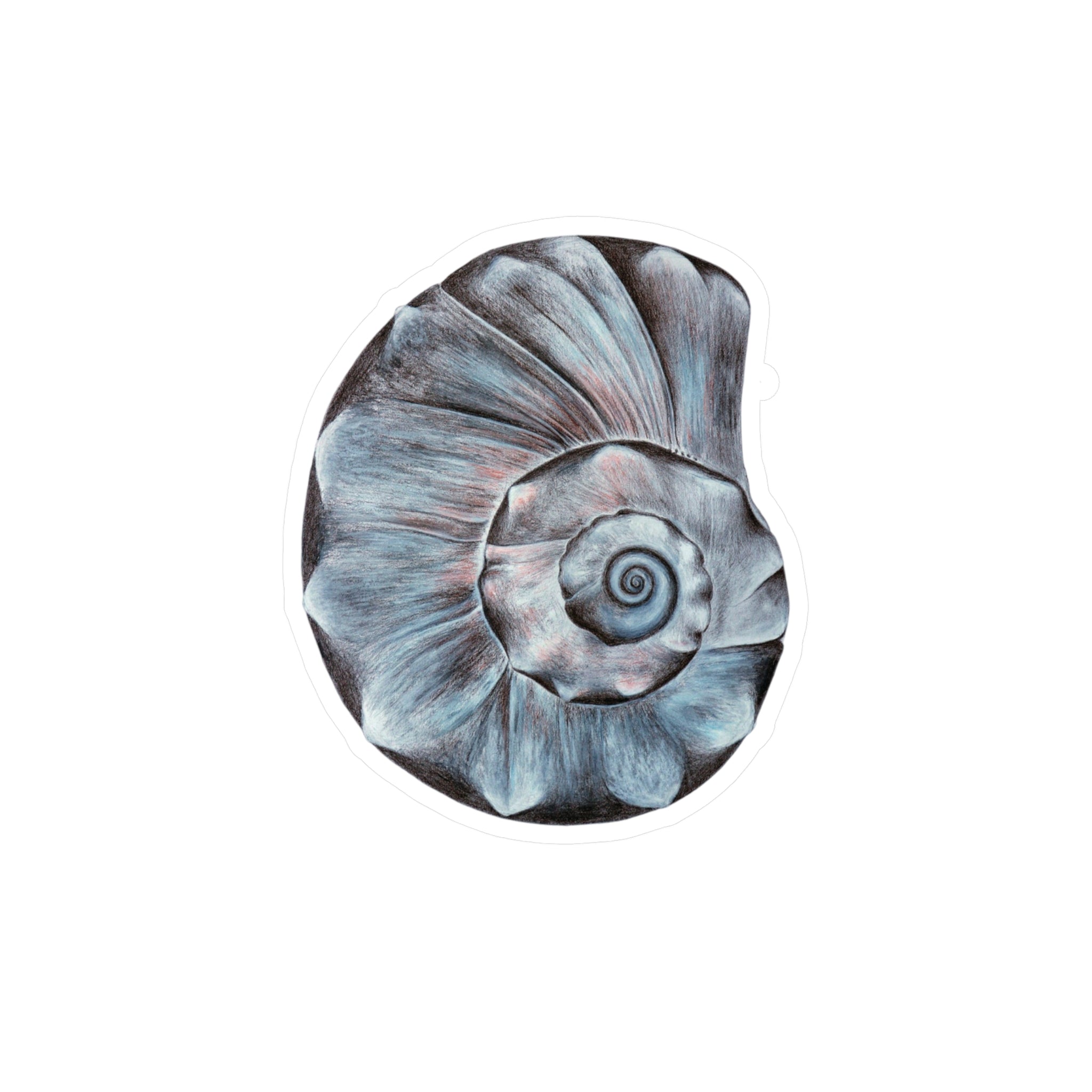 Vinyl Decals  (OBX Welk Shell) UV/Water resist