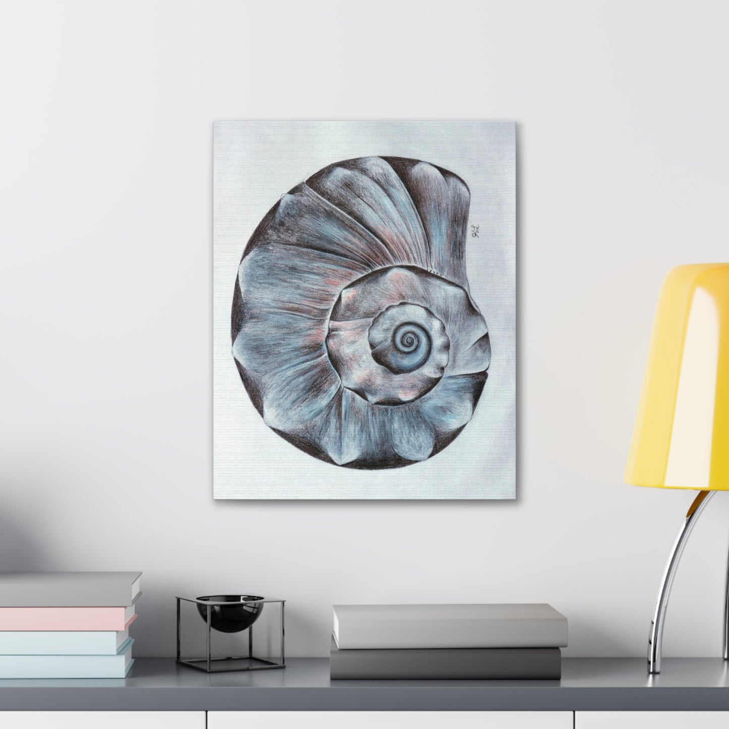 Sea Shell Canvas Gallery Wraps