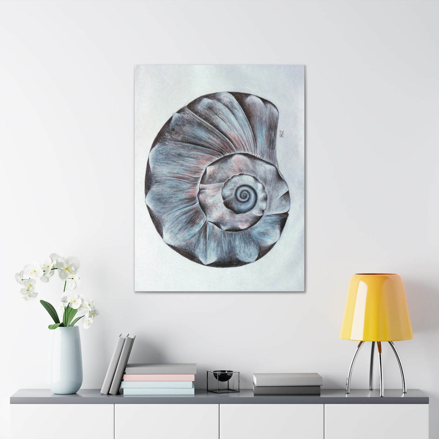 Sea Shell Canvas Gallery Wraps