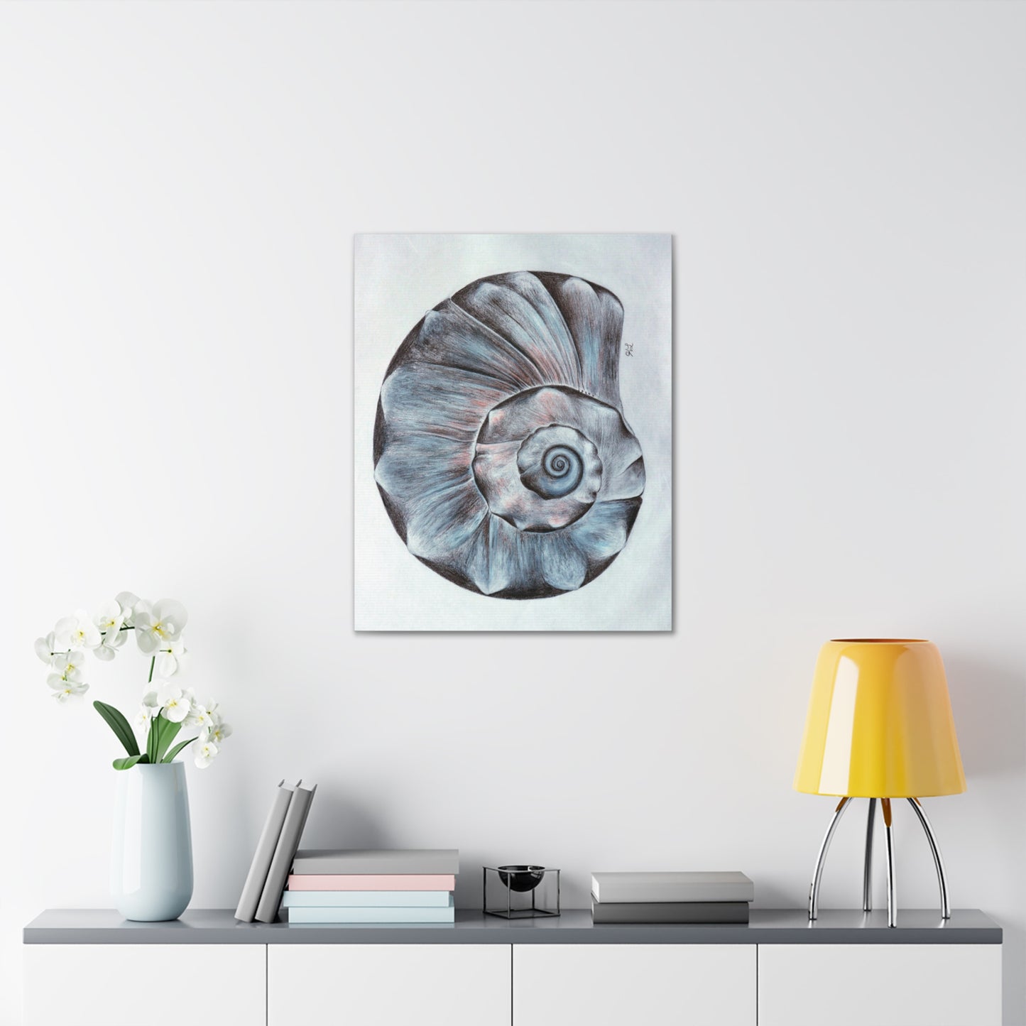 Sea Shell Canvas Gallery Wraps