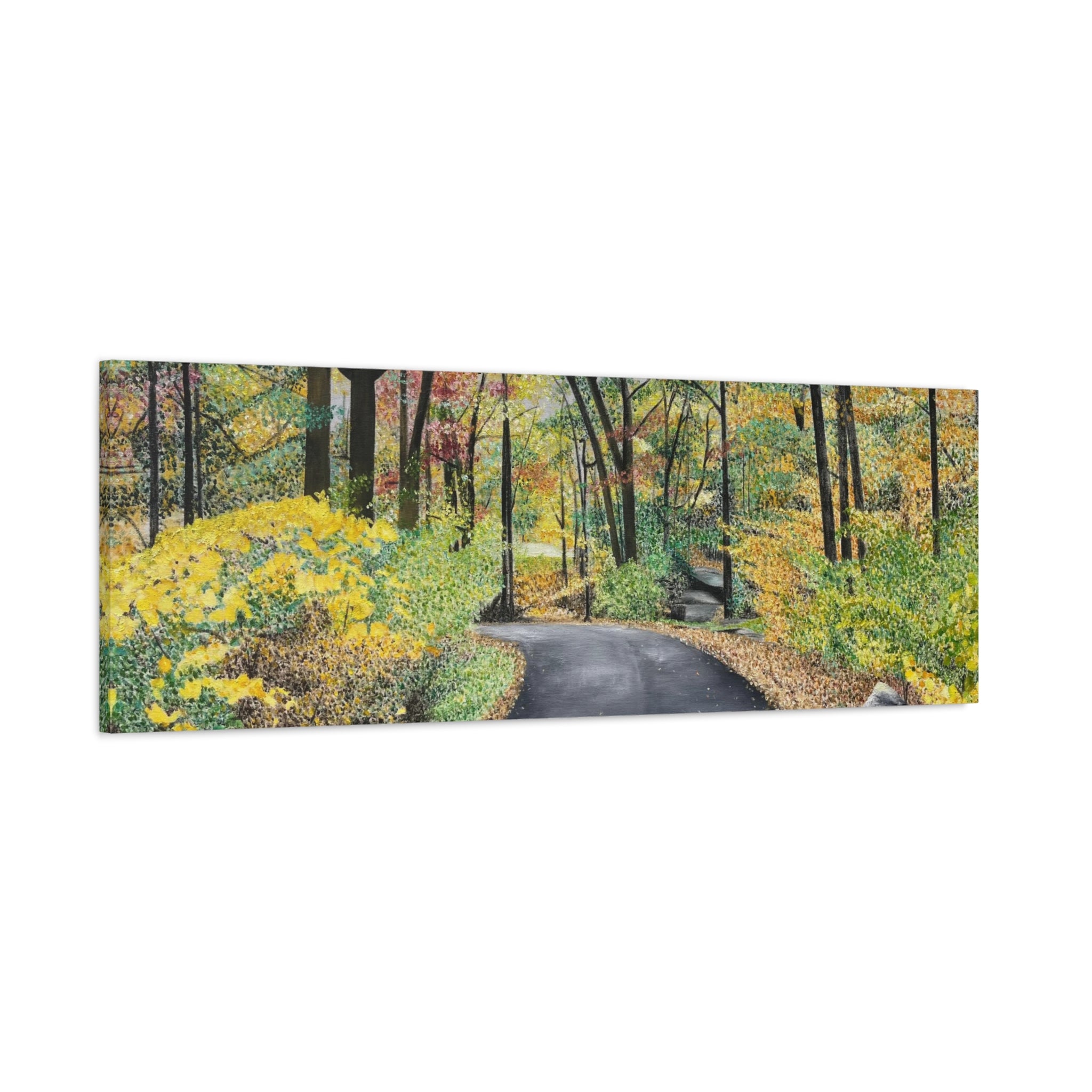 "Lake Scranton Fall Walk"