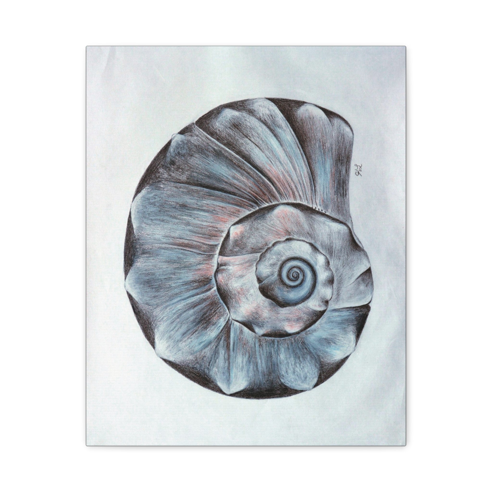 Welk Shell Wall Art