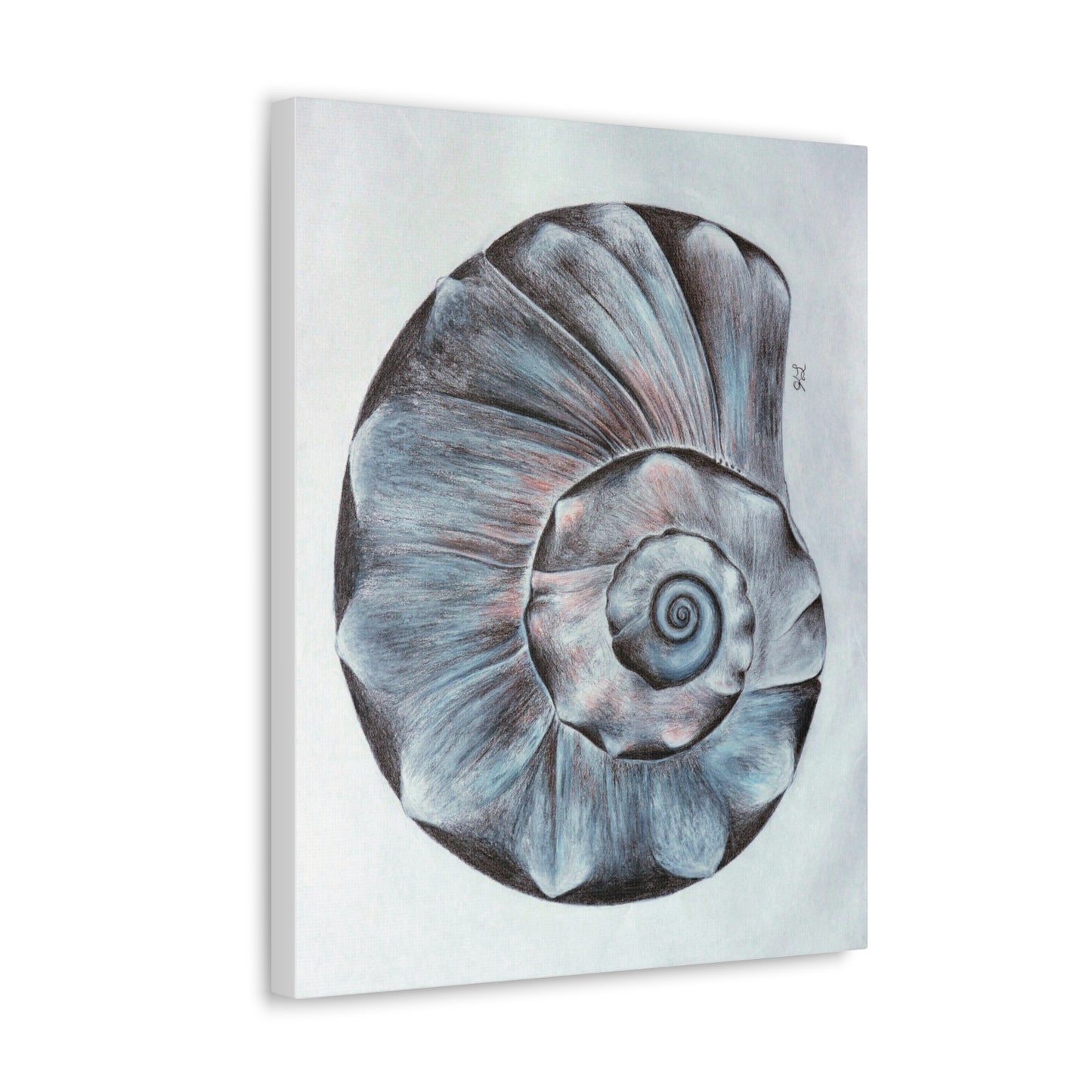 Sea Shell Canvas Gallery Wraps