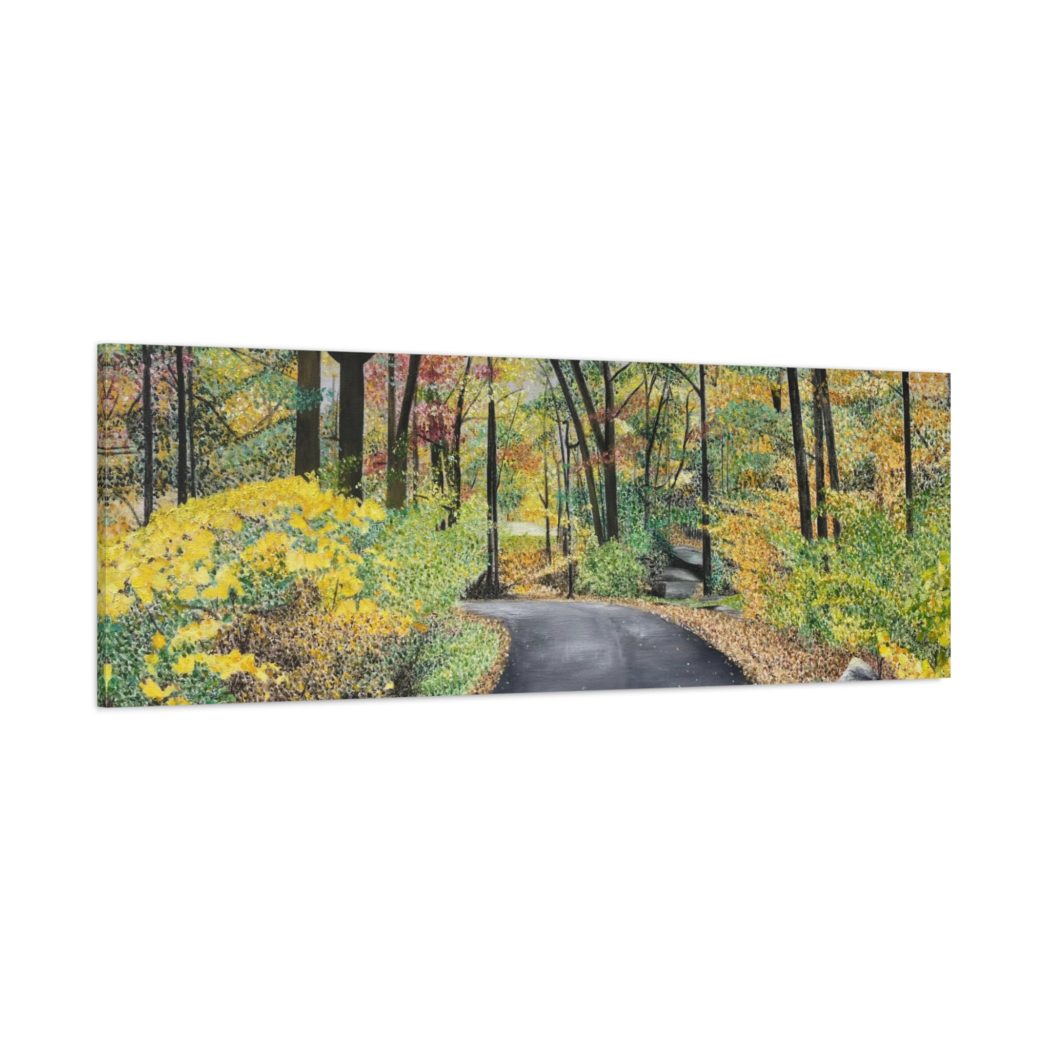 "Lake Scranton Fall Walk"