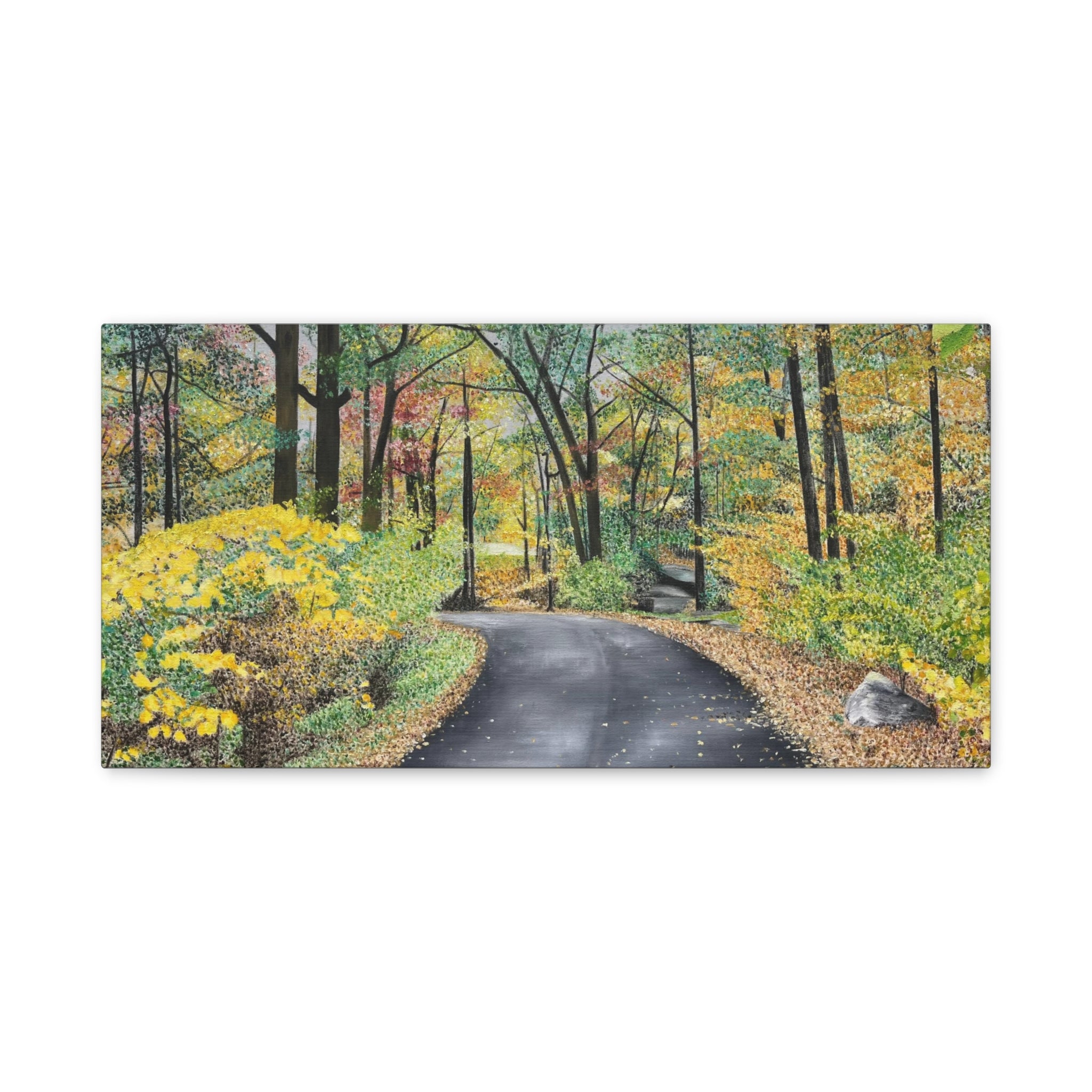 "Lake Scranton Fall Walk"