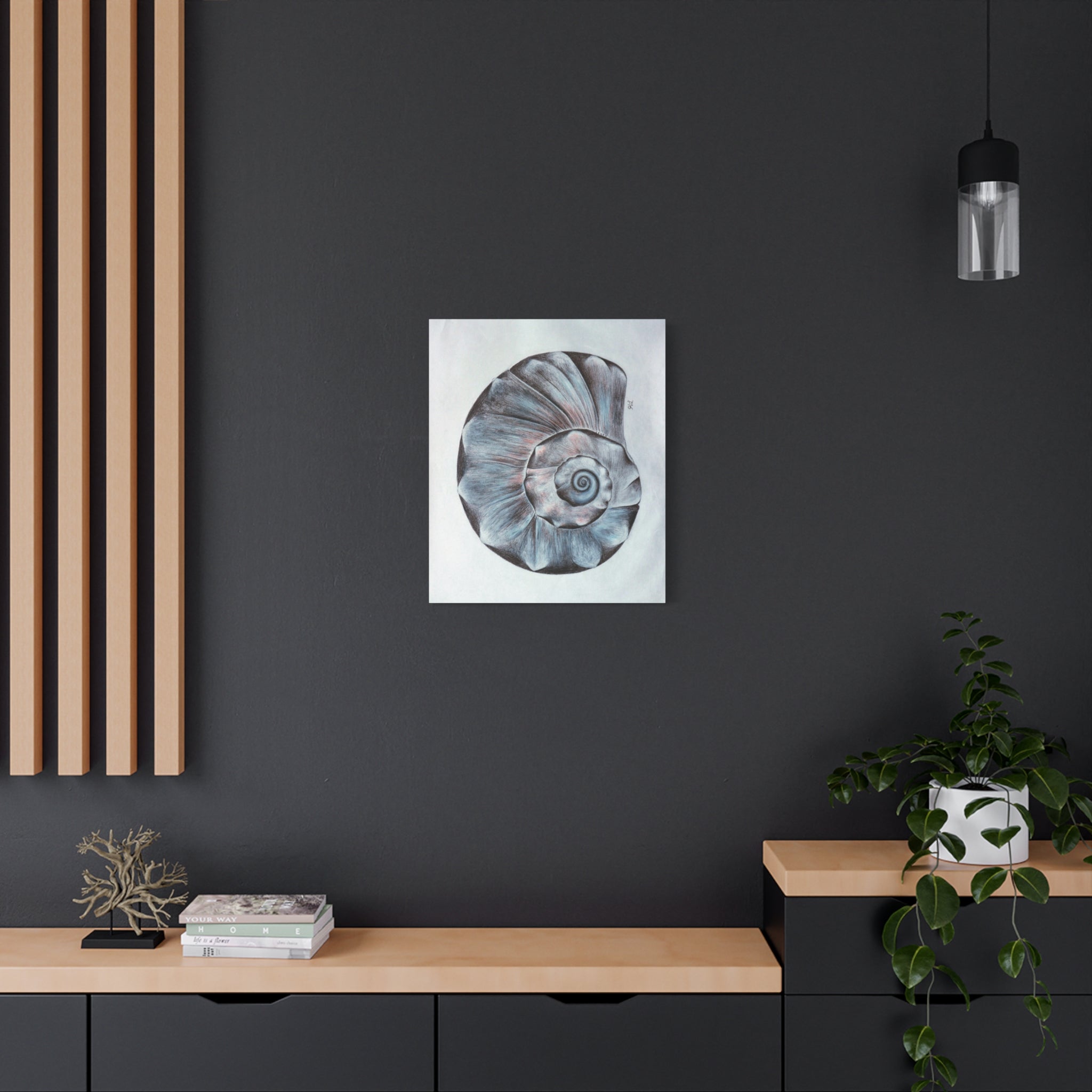 Welk Shell Wall Art