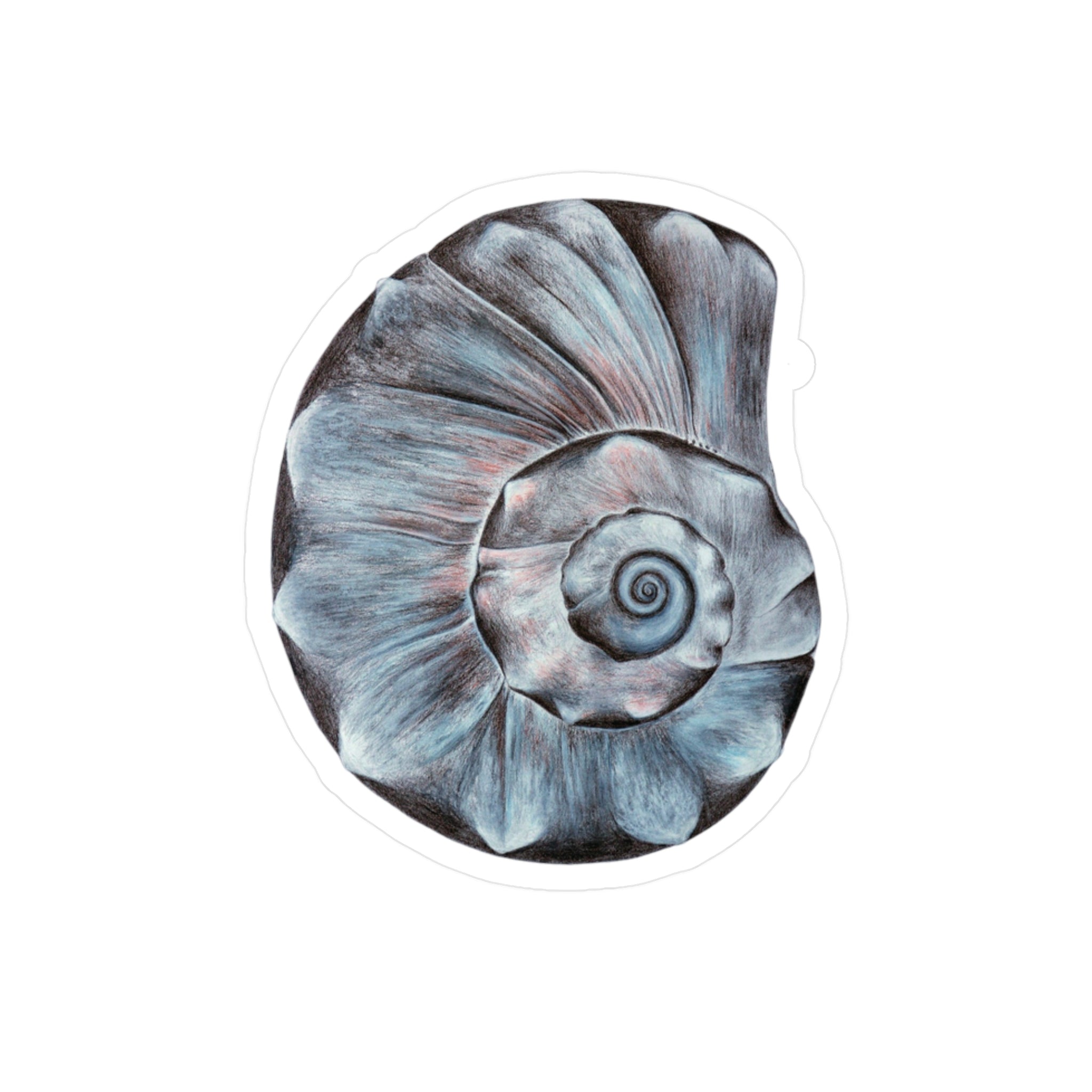Vinyl Decals  (OBX Welk Shell) UV/Water resist