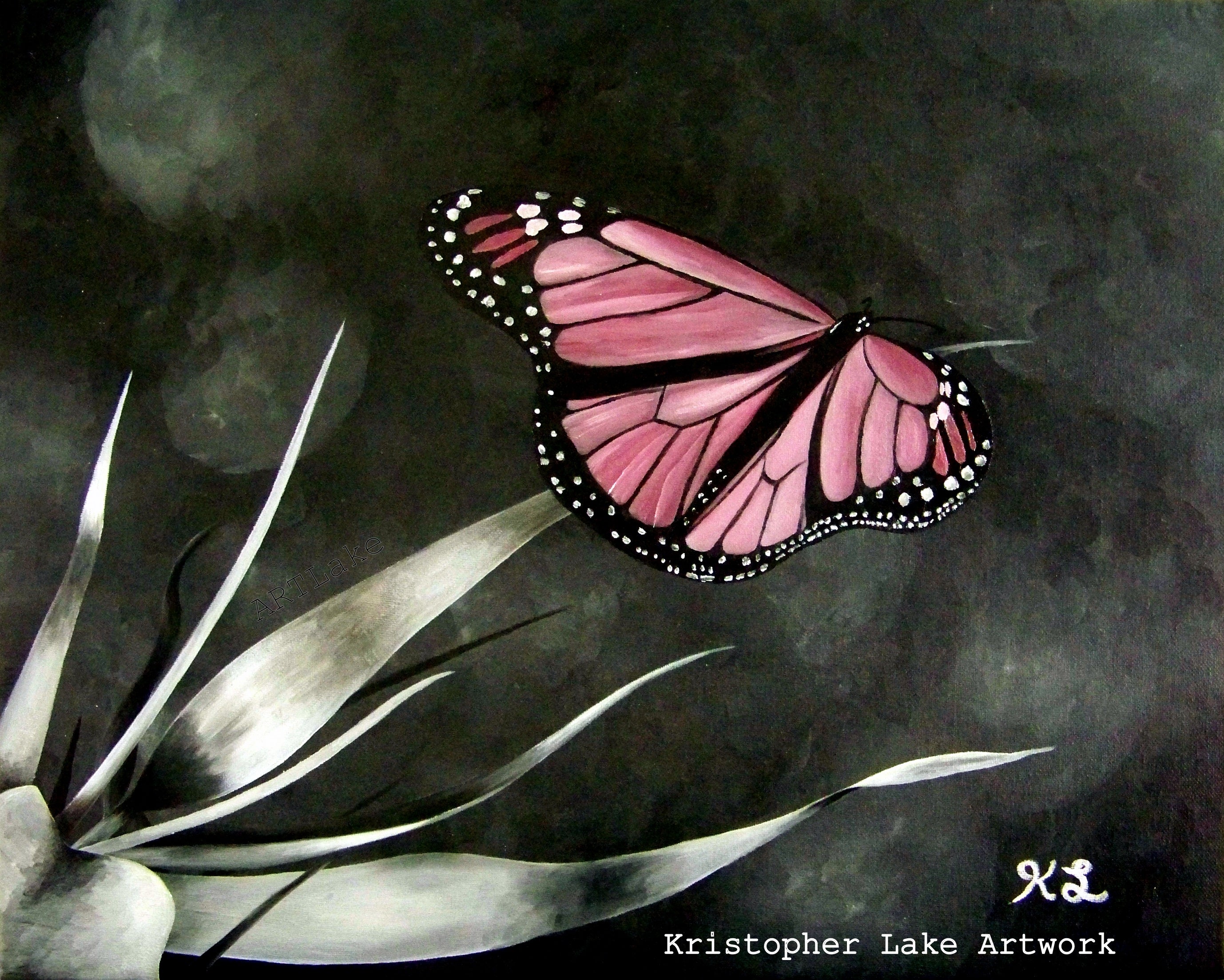 Pink butterfly 1 b8a58ce7 2837 4dbf 996c 4528bd8dbec3
